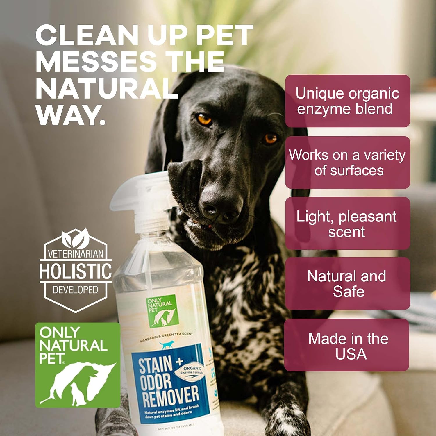 Only Natural Pet Stain & Odor Remover – Enzyme-Based Plant-Derived Formula for Dogs – Dog Stain & Urine Cleaner for Hardwood, Carpet & Upholstery – Fresh Mandarin Orange & Green Tea – 32 fl oz - Image 5
