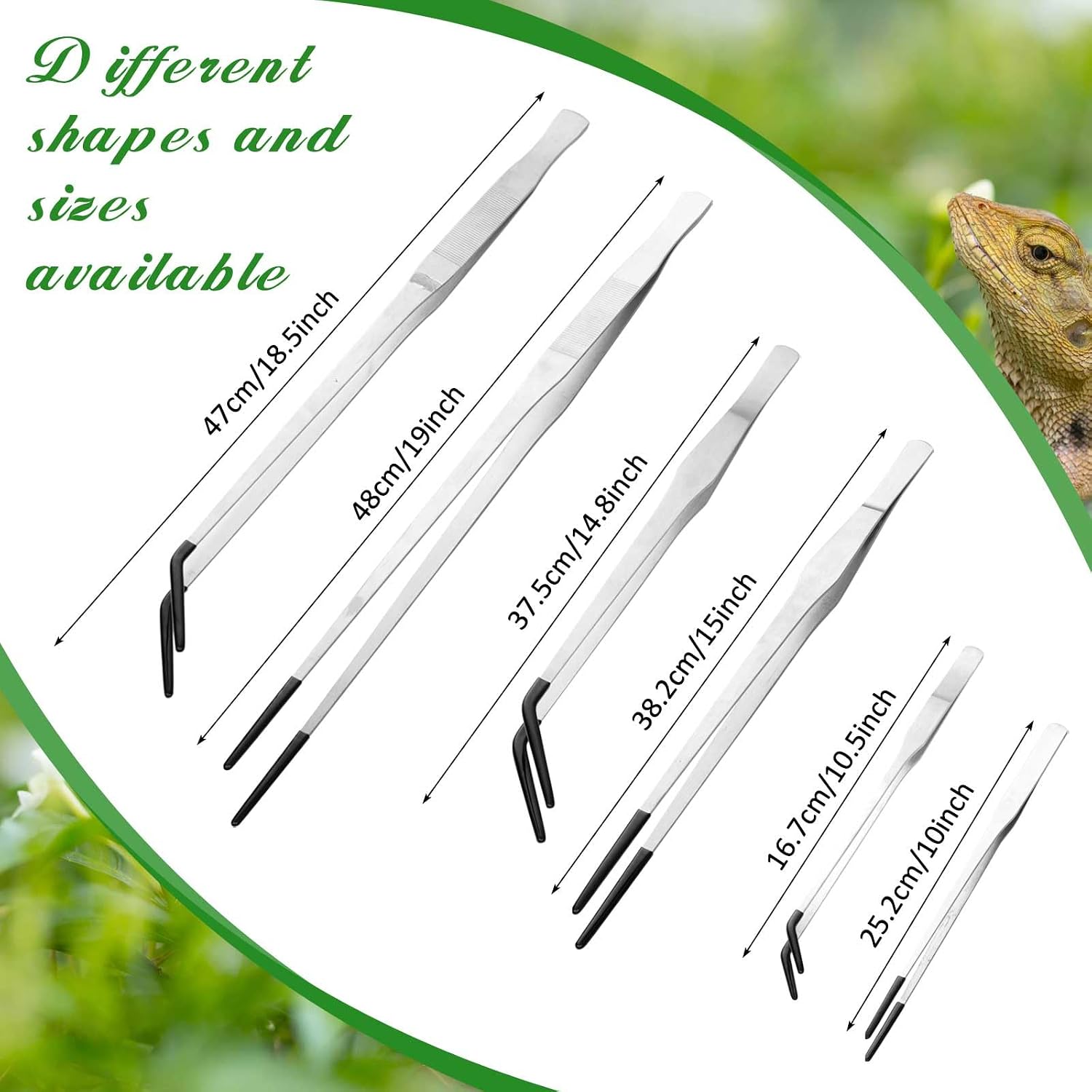 Lasnten 2 Pcs Extra Long Stainless Steel Reptile Feeding Tongs with Rubber Tip 15 Inch Bearded Dragon Aquarium Straight and Curved Long Tweezer Terrarium Feeder Tool for Tank(Silver) - Image 6