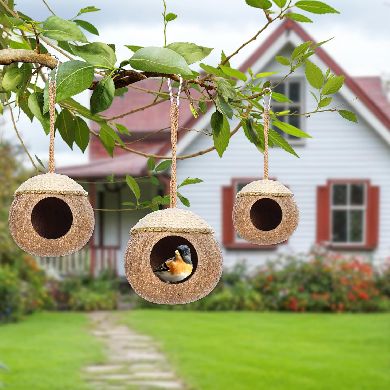 3 Pcs Natural Coconut Bird Hide Nest Hut for Cage with Woven Straw Bird Parakeet Coconut Fiber Hanging Birdhouse Cage Habitats Decor for Parrot Cockatiel Lovebird Finch Squirrel Hamster - Image 5