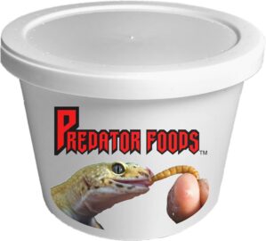 Predator Foods Bulk Live Mealworms ...