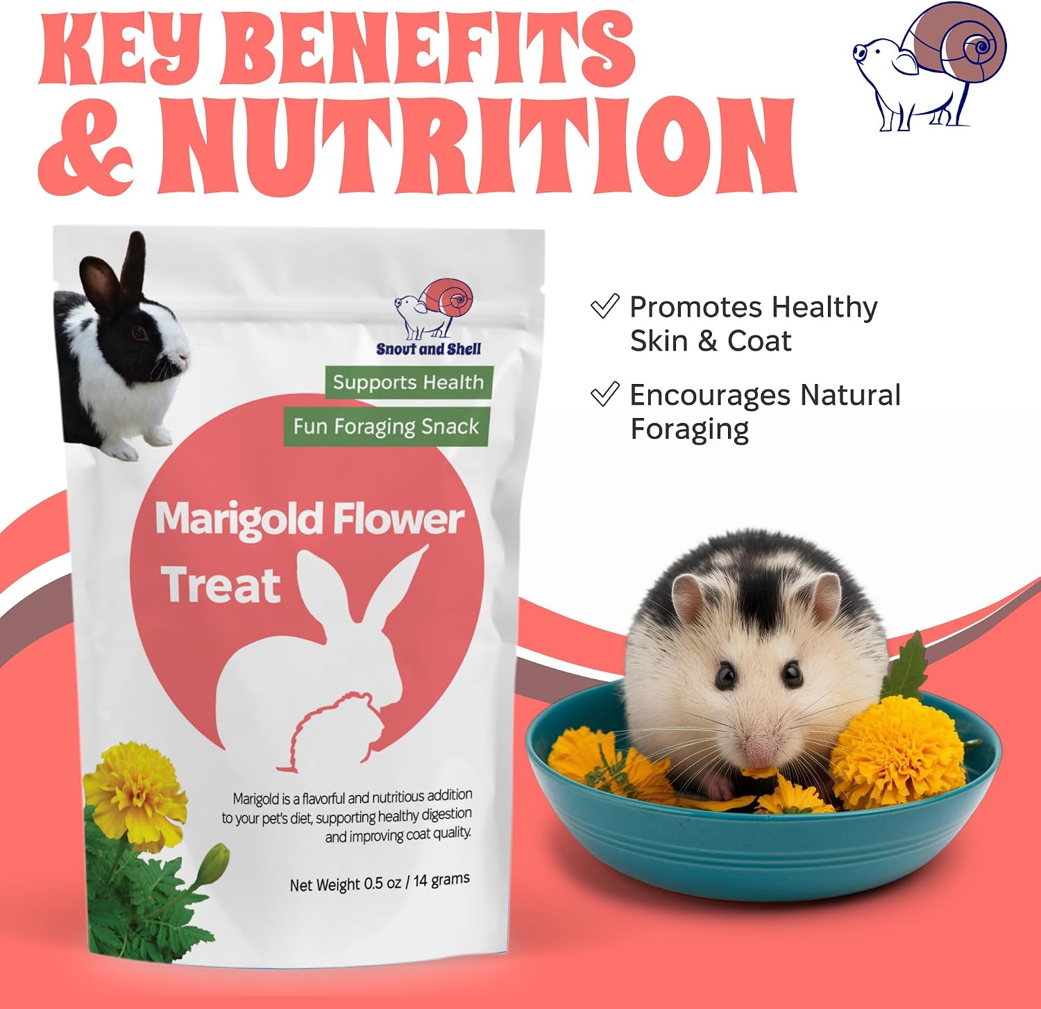 Snout and Shell Marigold Flower Treat for Small Pets – Organic, Healthy Digestive Support – Fun Foraging Snack for Rabbits, Guinea Pigs, Chinchillas, and More – 0.5 oz / 14g - Image 4