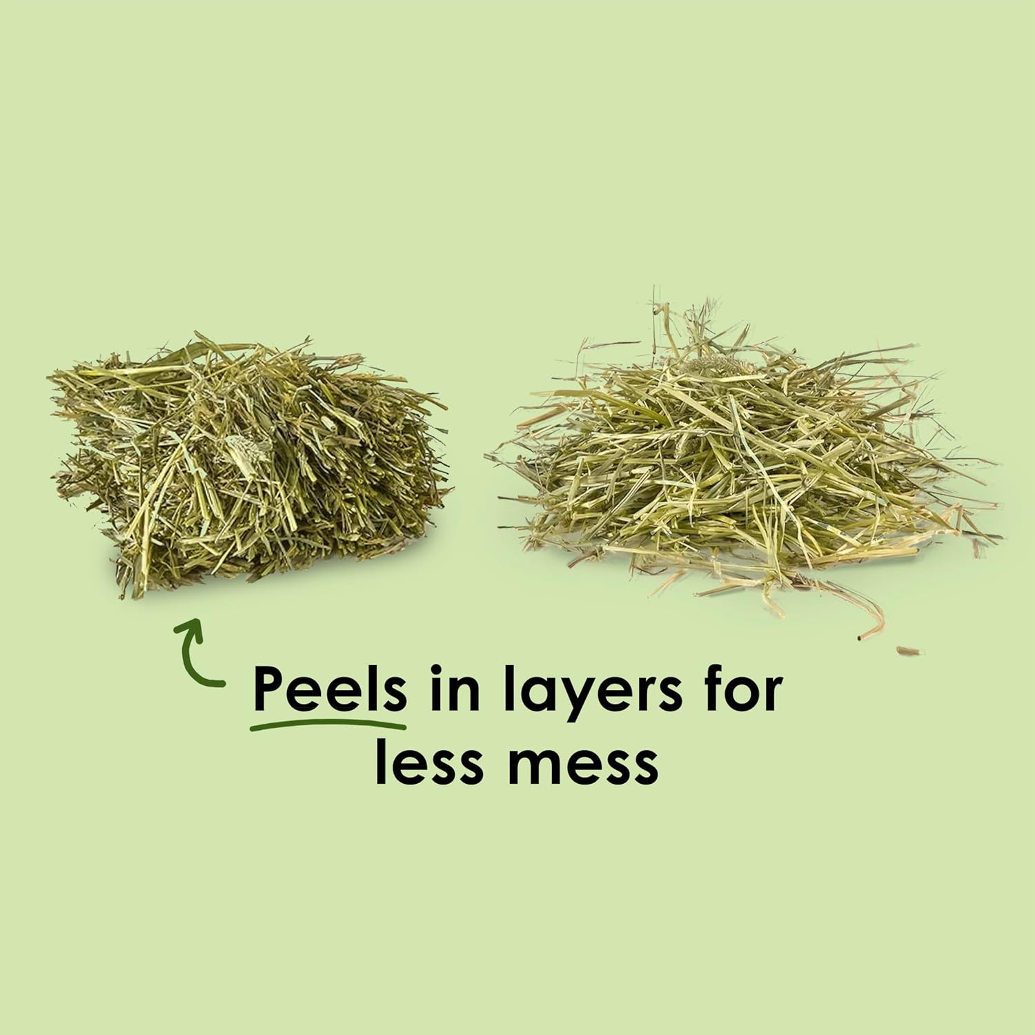 Kaytee Wafer Cut All Natural Timothy Hay for Pet Guinea Pigs, Rabbits & Other Small Animals, 60 Ounce - Image 5
