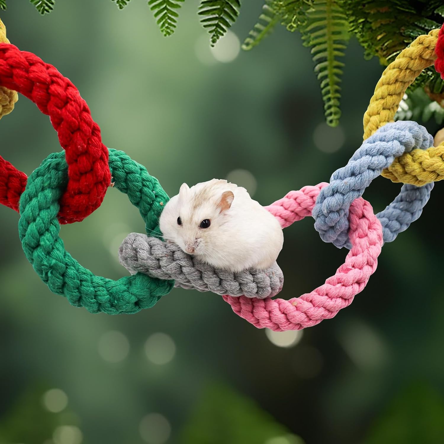 Sugar Glider Toys, Hanging Cotton Rope Ring Climbing Toy for Little Pet, Rat Toys, Sugar Glider Cage Accessories, Exercise Toys for Sugar Glider, Rat, Squirrel, Bird, Other Little Climber (Long) - Image 6