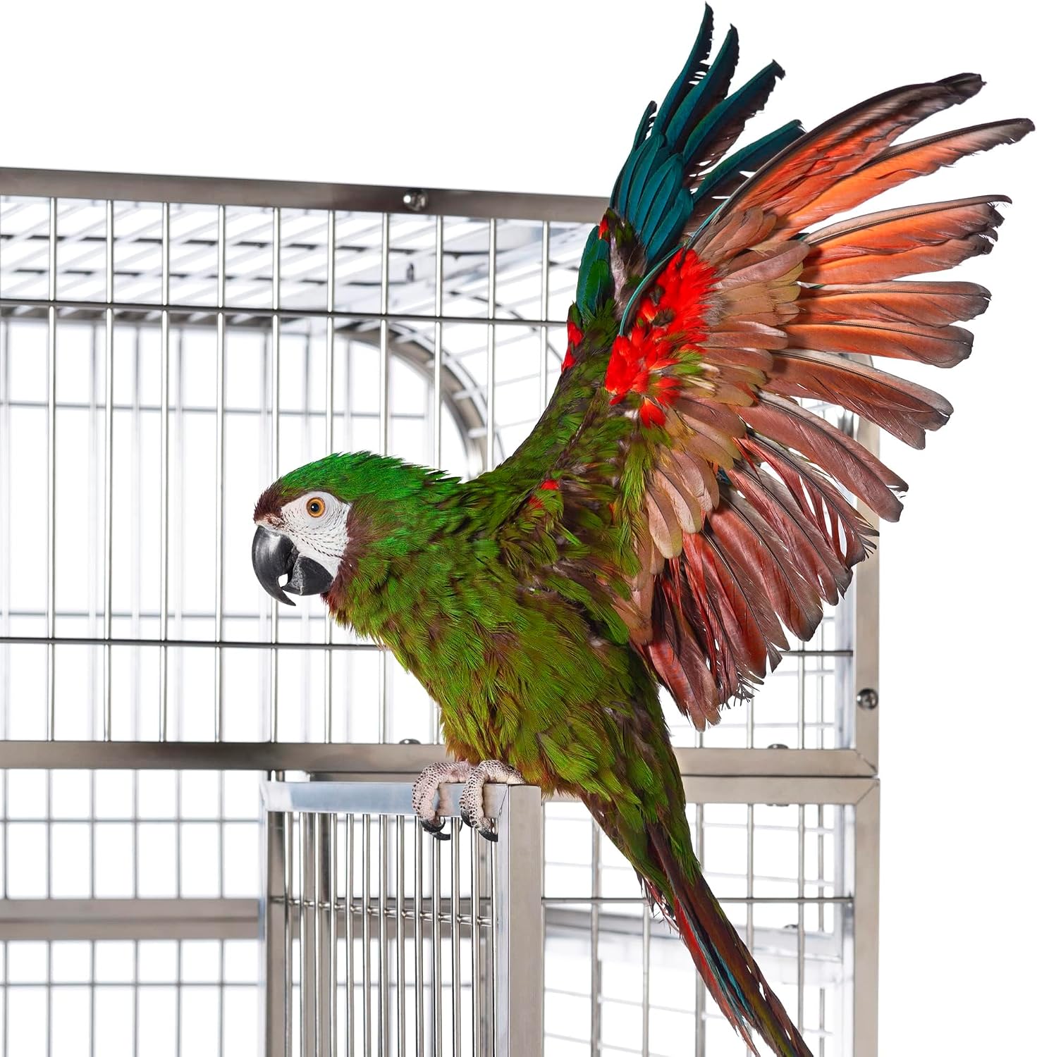 Prevue Pet Products Imperial Extra Large Stainless Bird Cage - Big Birdcage Ideal for Parrots, Cockatoos, Macaws, Included Perch and Cups, Durable Cage with Wheels - Gray, Extra Large - Image 6