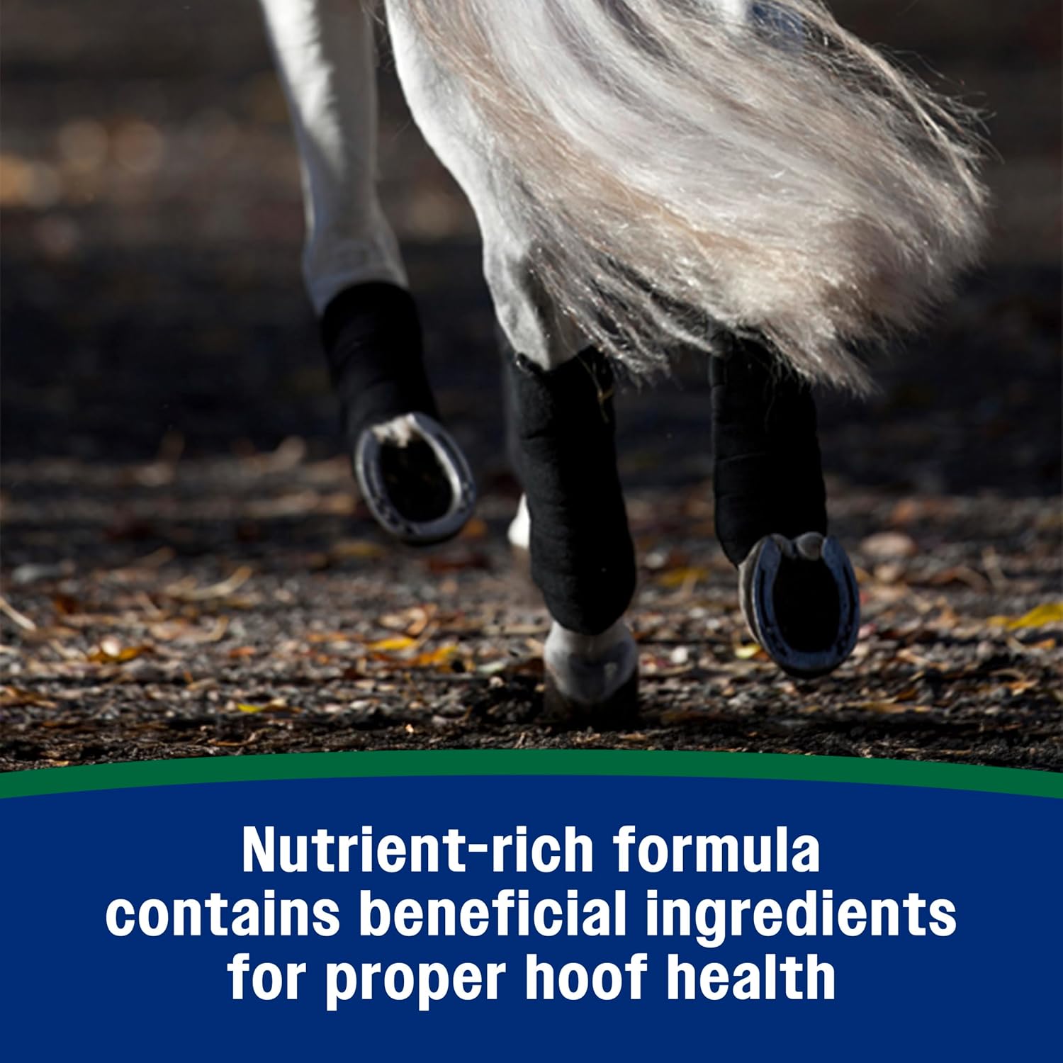 Farnam Horseshoer's Secret Pelleted Hoof & Biotin Supplements, Nutrient-Rich Formula with Amino & Fatty Acids, Omega-3 Minerals, Promotes Hoof Growth & Supports Cracked Hooves, 11 lb, 30-Day Supply - Image 7