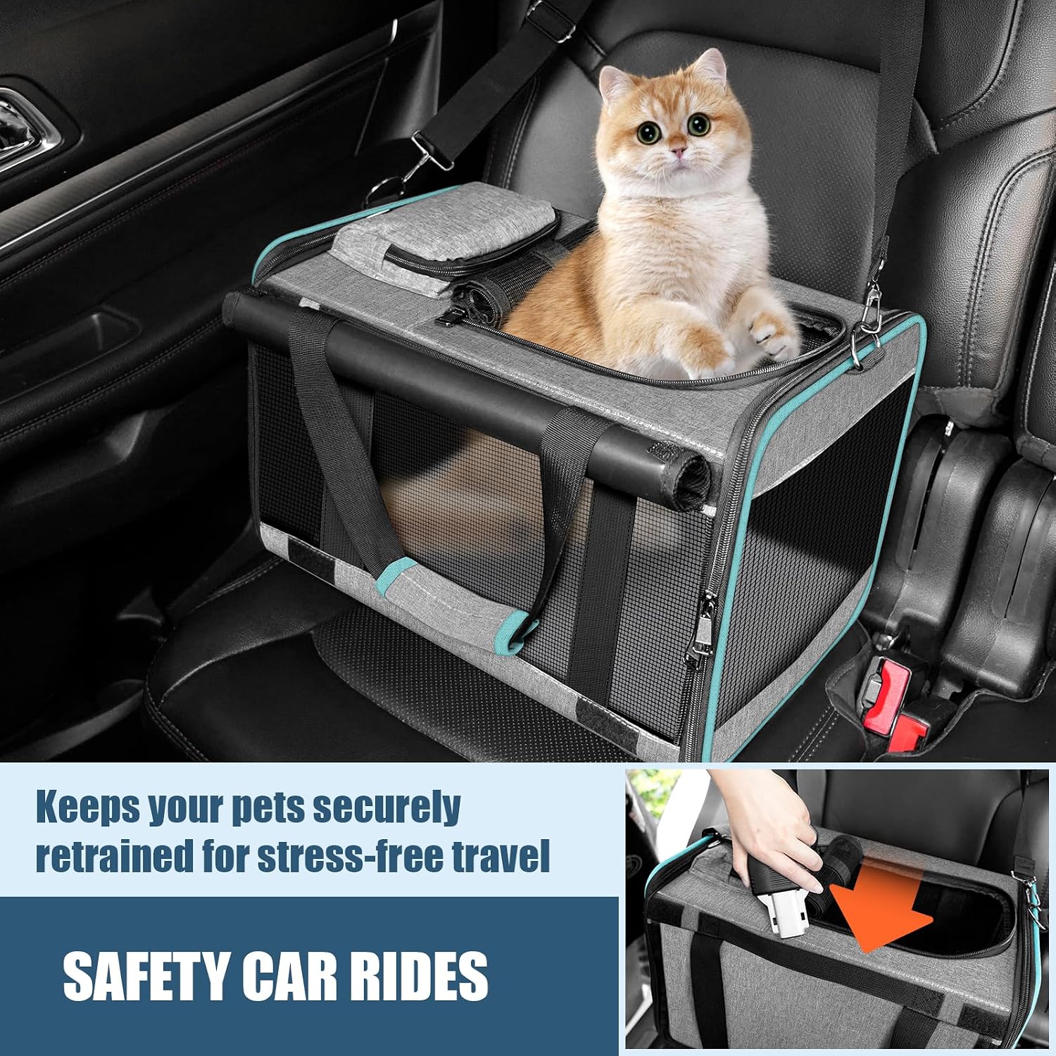 GAPZER Cat Carrier Alaska, Southwest Airline Approved TSA 17x11x9.5 Inches | Soft-Sided Small Pet Air Travel Carry Bag, Airplane Kitten 12lbs Crate in Cabin Under-Seat Traveling Cage Tiny Dog Under 8 lb - Image 4