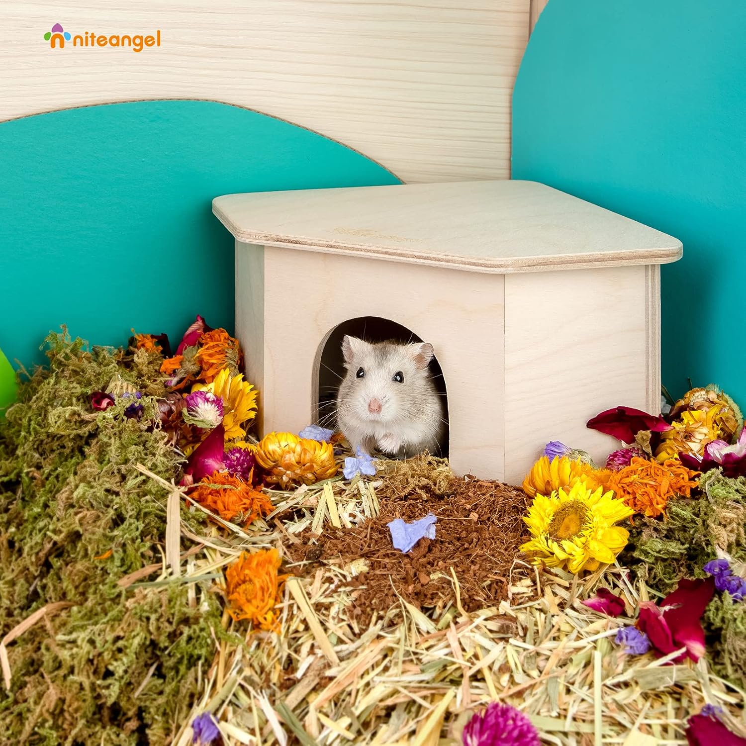 Niteangel Birch Chamber-Maze Hamster Hideout - Small Pets Woodland House Habitats Decor for Hamster Mice Gerbils Mouse - Image 2