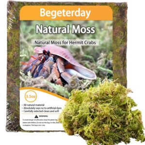 3.5oz Natural Moss for Hermit Crabs...