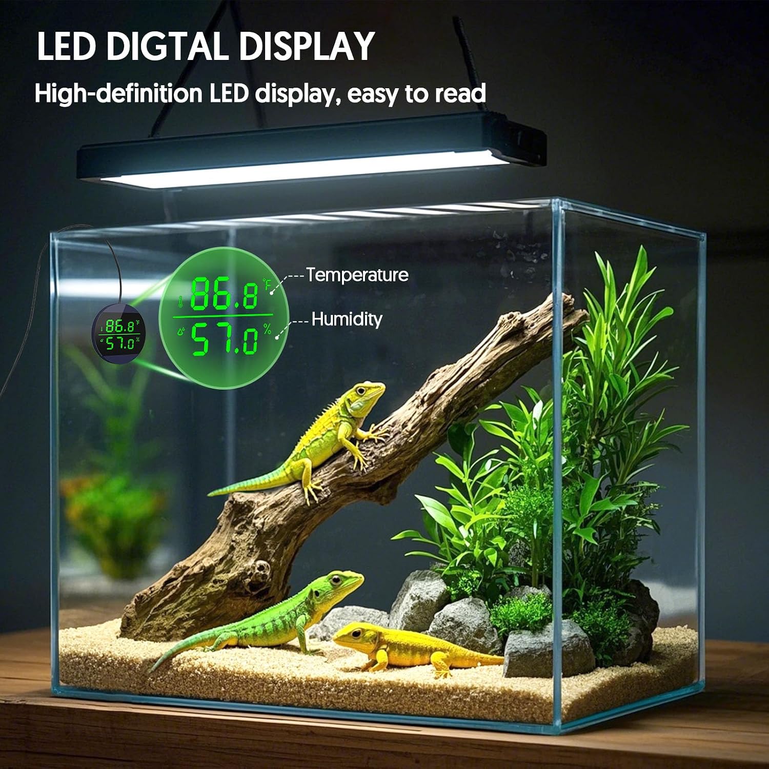 QZQ Reptile Thermometer and Humidity Gauge, LED Digital Thermometer Hydrometer, Reptile Tank Accessories for Bearded Dragon, Crested Gecko, Snake, Jumping Spider, Lizard, USB Power Supply (Blue) - Image 3