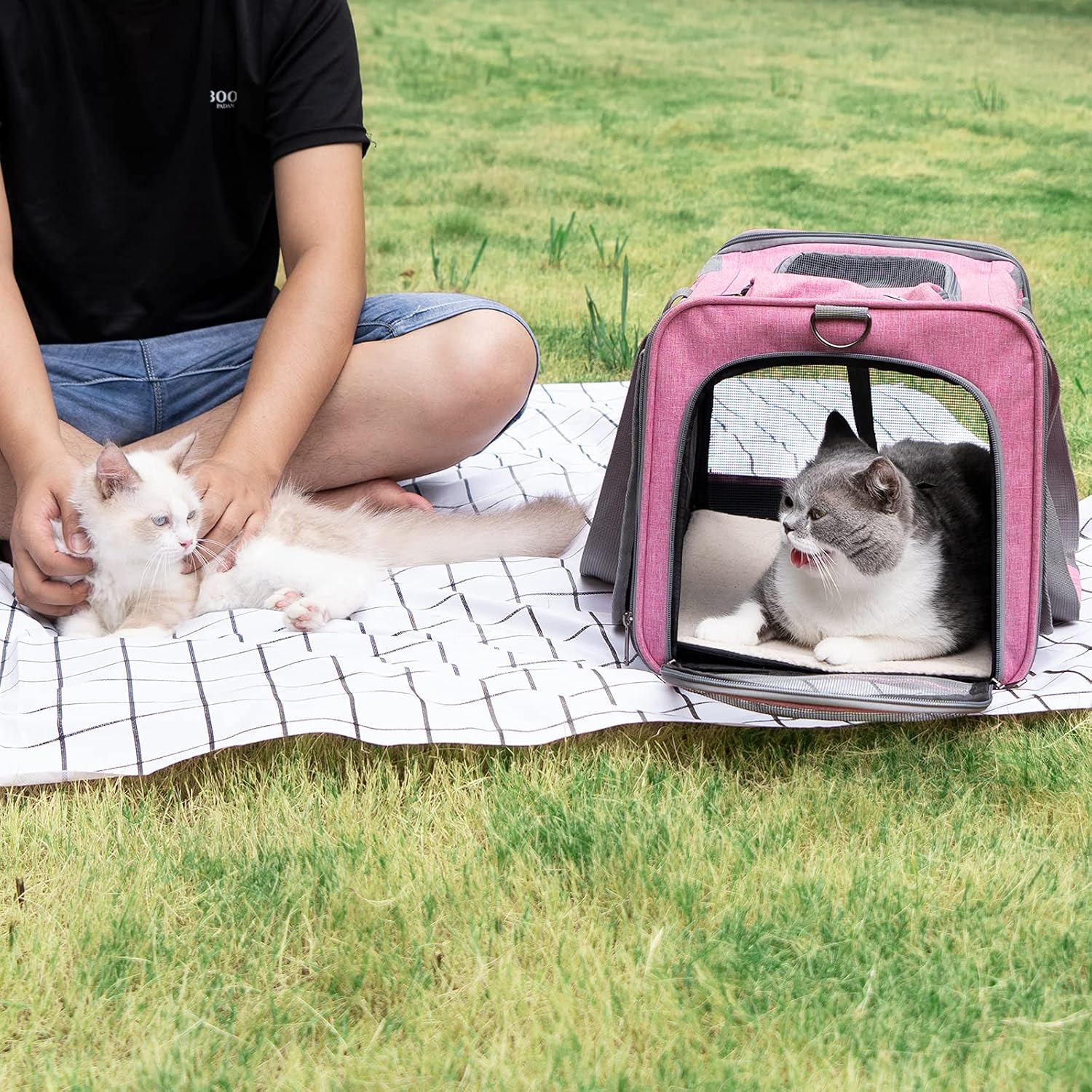GAPZER Pet Carrier for Large and Medium Cats, Soft-Sided Pet Carrier for Big Medium Cats and Puppy Dog Carriers Cat Carriers, Pet Privacy Protection Travel Carrier - Image 6