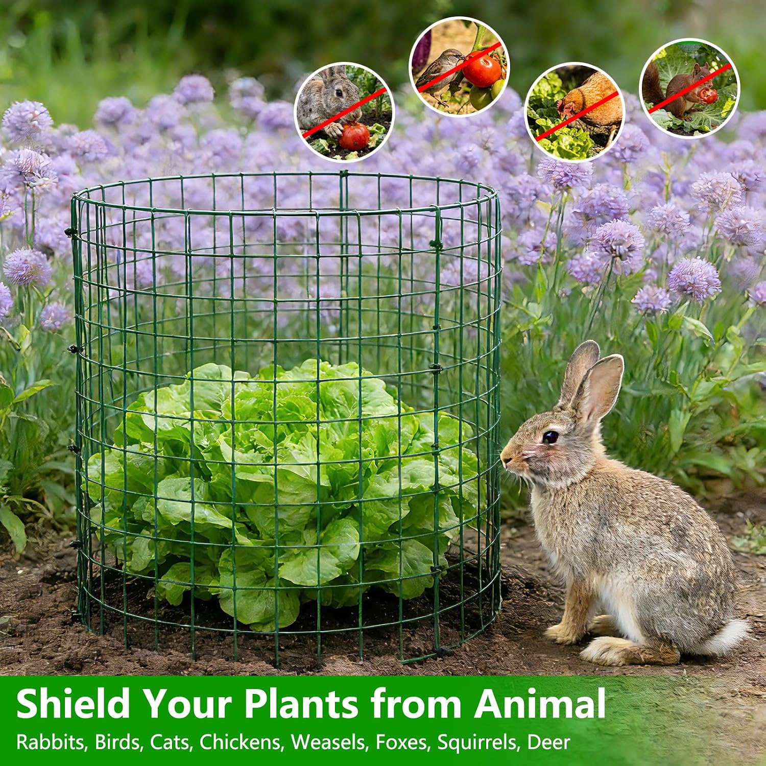 6 Pack 12x12 Inch Plant Protector from Animals, Wire Plant Cages Mesh Garden Plant Protector, Sturdy Wire Cloche Plant Protectors for Keeping Animals Bunny Chicken Squirrels Out - Image 2