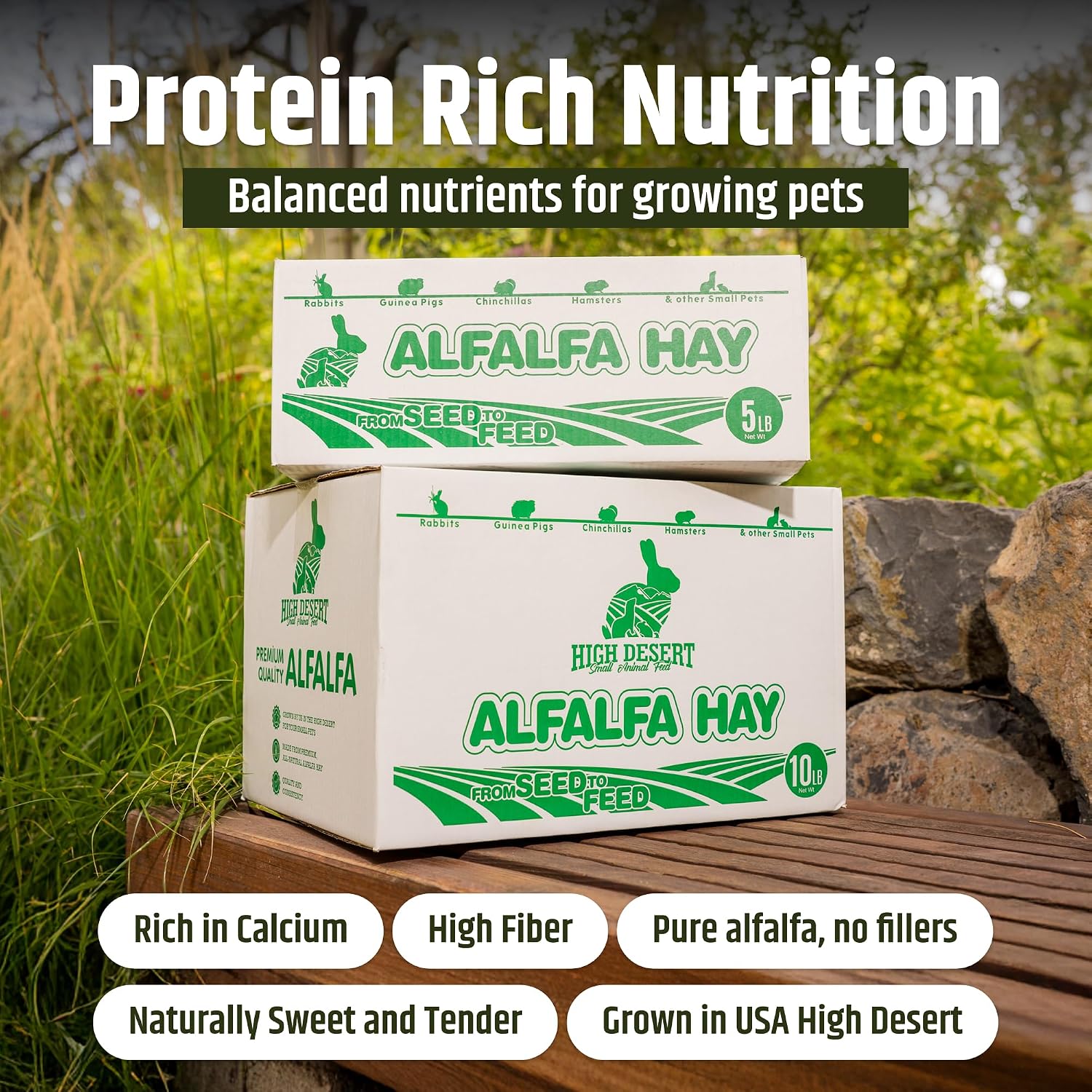 High Desert Alfalfa Hay, Protein Rich Soft Leaf Food for Young Growing Animals, Natural Rabbit Food and Guinea Pig Hay, Supports Digestive Health, Small Pet Supplies, Fresh Hand Packed 5 Lb Box - Image 2