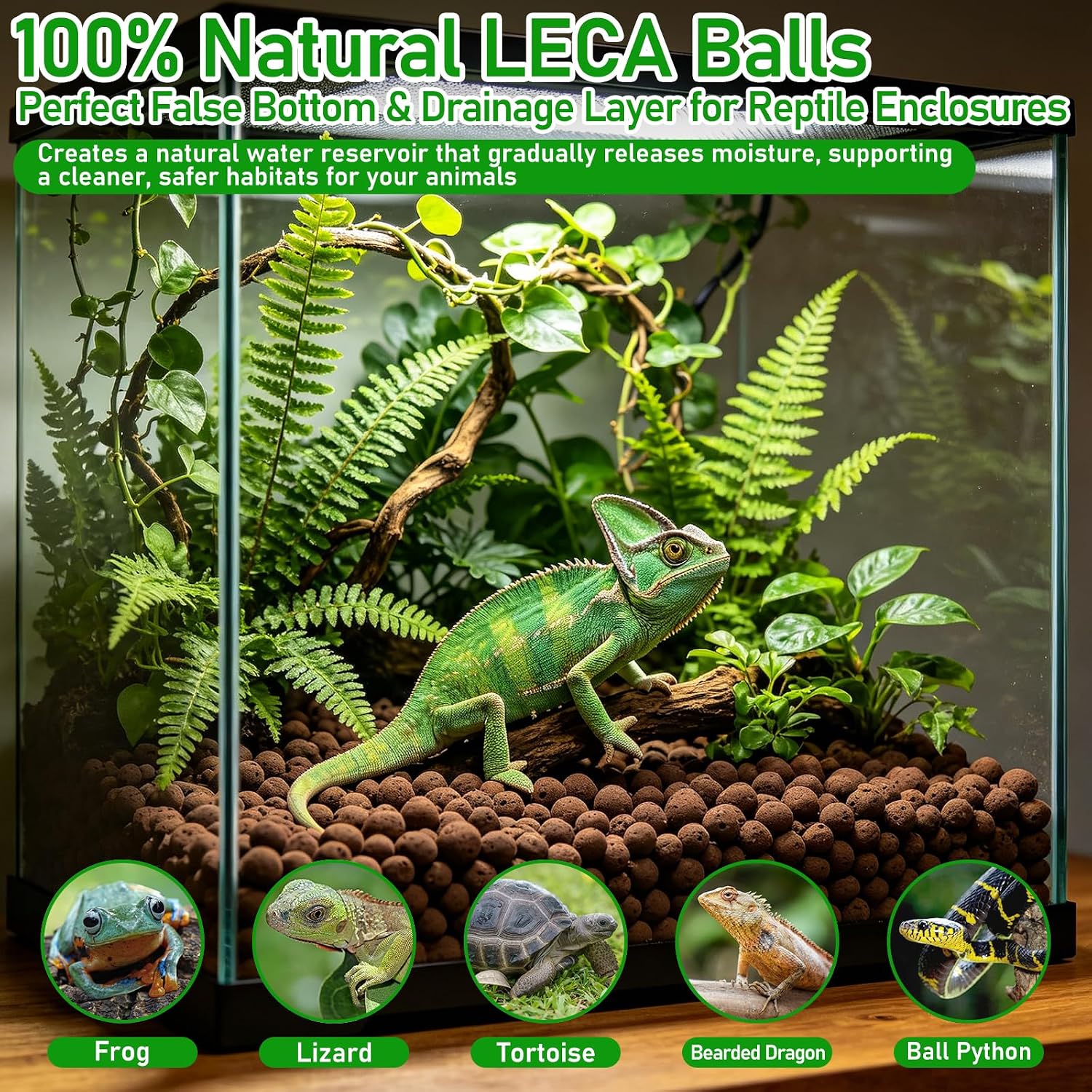 Riare 4LBS Expanded Clay Balls Terrarium Substrate for Reptiles - 100% Organic Lightweight Clay Pebbles Substrate Frogs False Bottom Substrate, Bioactive Terrarium Substrate for Drainage and Moisture - Image 6