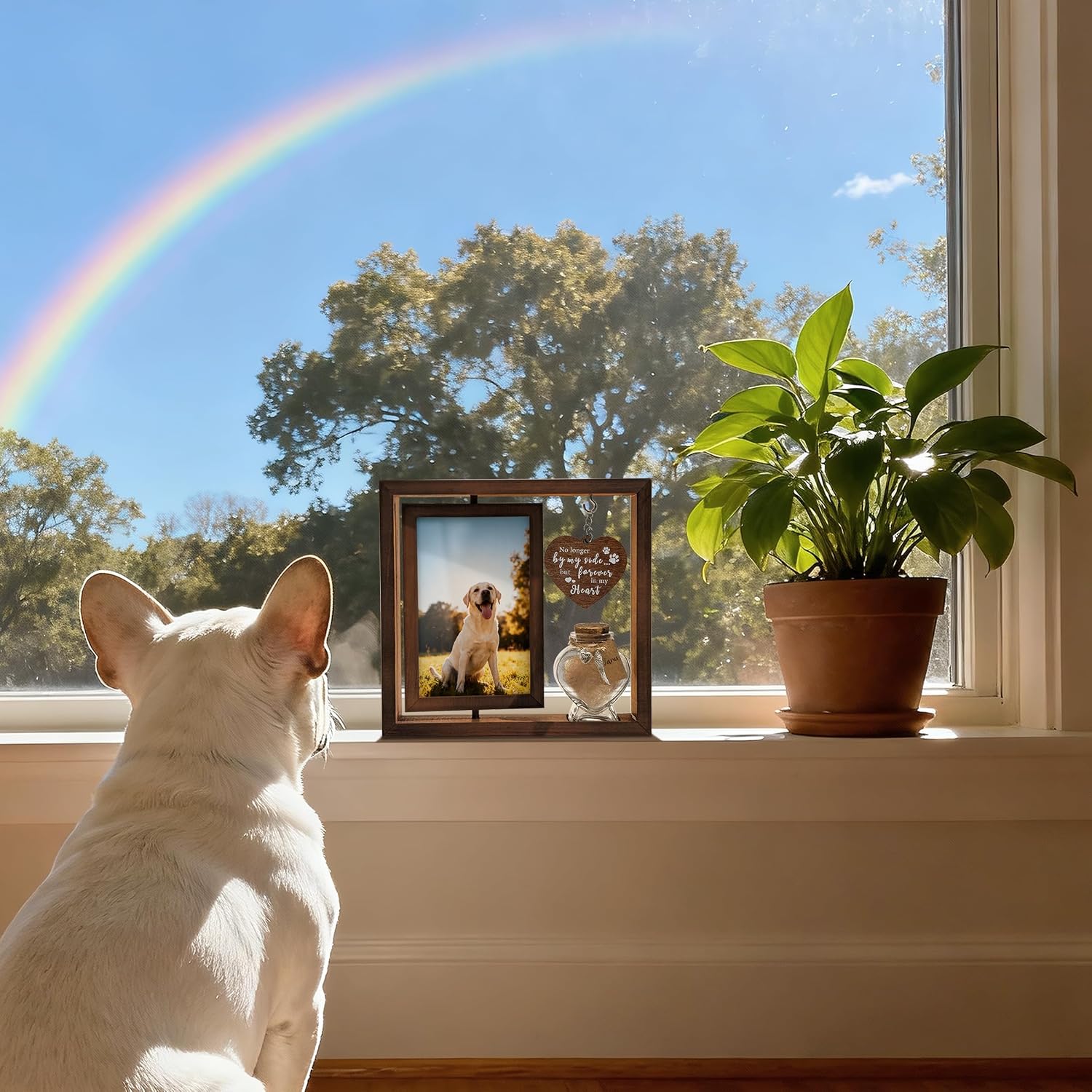 Dog Memorial Gifts for Loss of Pet - Rotating Wooden Frame for 4x6 Photo & Fur Hair Jar - Sympathy Gift for Pet Bereavement, Remembrance Keepsake - Rainbow Bridge Gift for Dog Lovers & Cat Lovers - Image 6