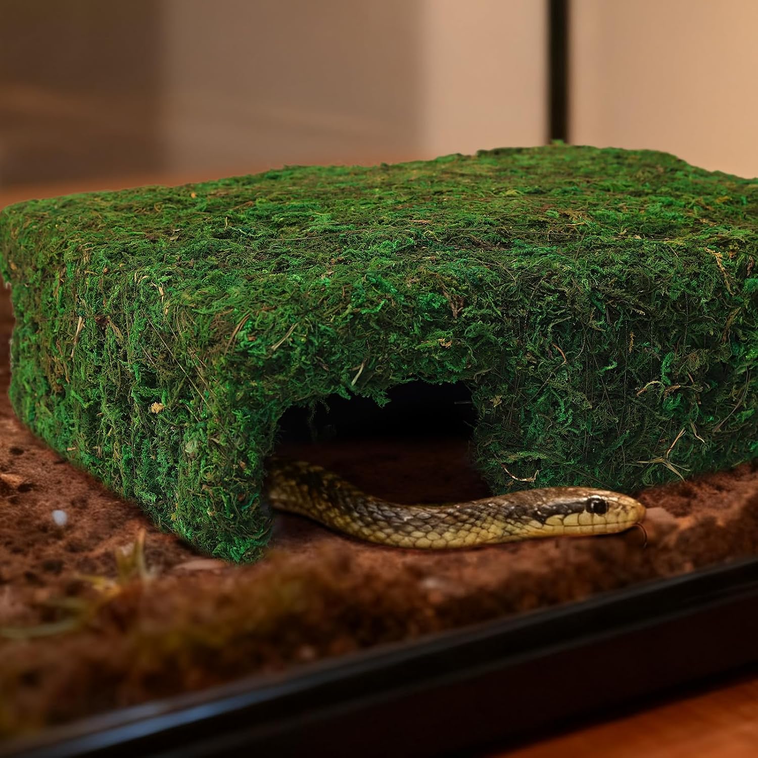Handmade Reptile Moss Cave M, 9.4" Shelter for Gecko Hamster | Moss reptile cave hide, Smooth edges, no injury, Suitable for humid environments - Image 5