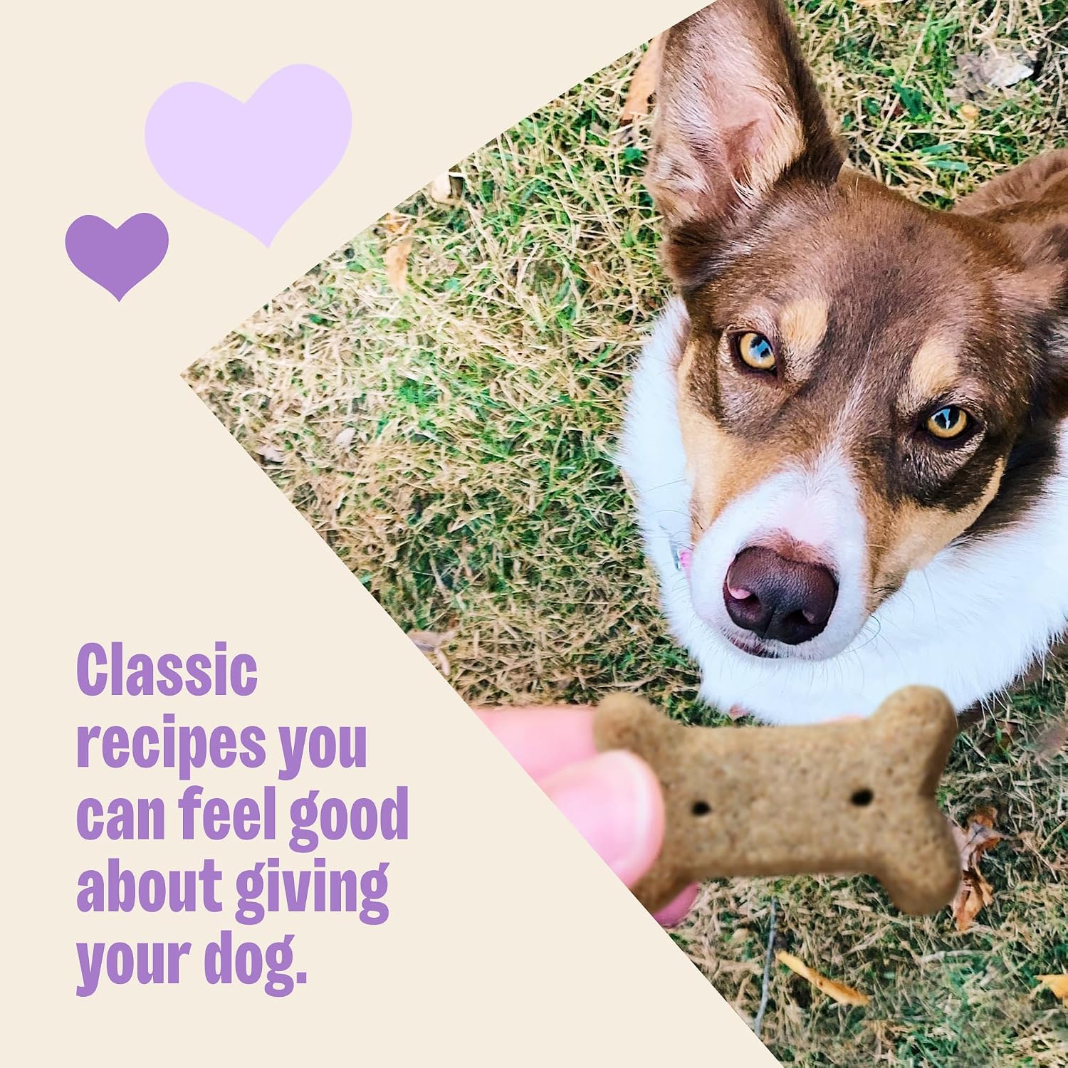 Wellness Old Mother Hubbard Classic Grain Free P-Nuttier'n Nanners Dog Biscuits, Natural Training Treats, Peanut Butter and Banana Flavor, Mini Size. 16 oz Bag - Image 4
