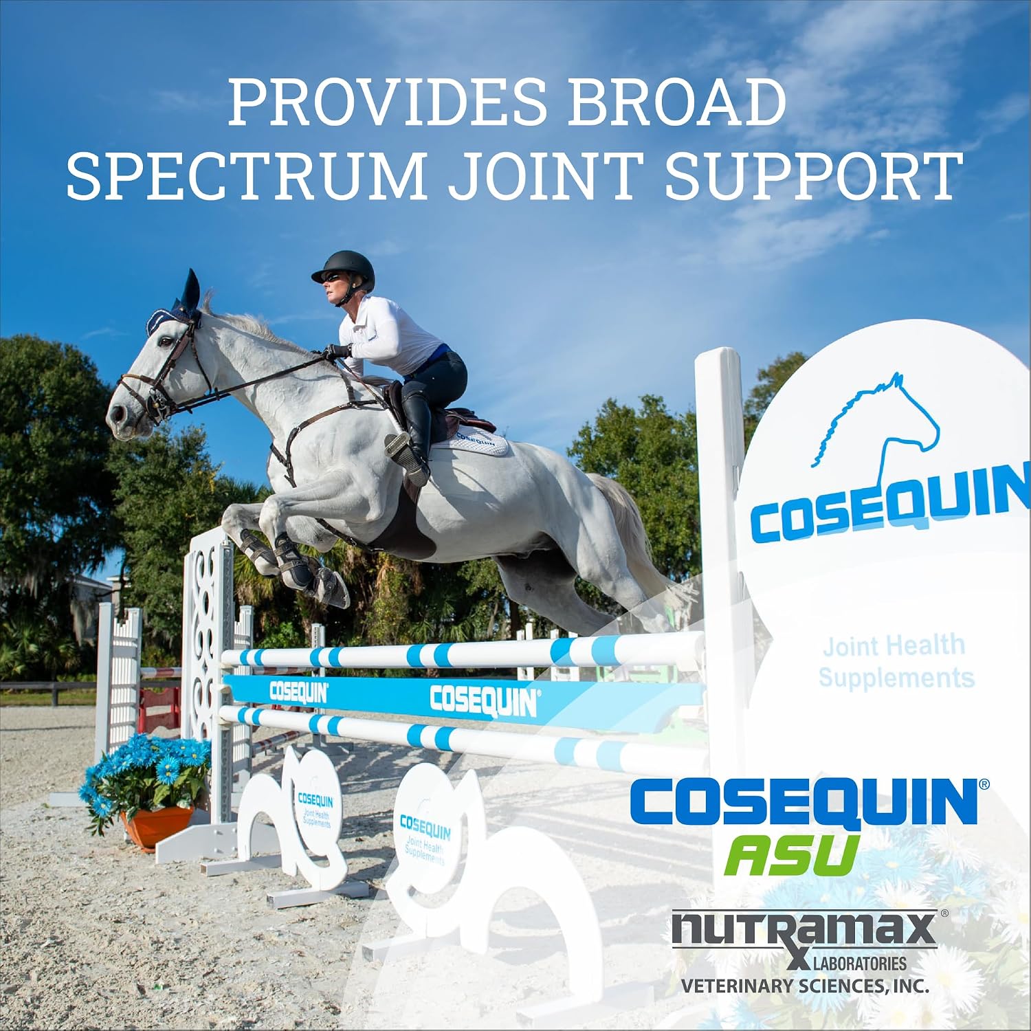 Nutramax Cosequin ASU Joint Health Supplement for Horses - Powder with Glucosamine, Chondroitin, ASU, and MSM, 500 Grams - Image 4