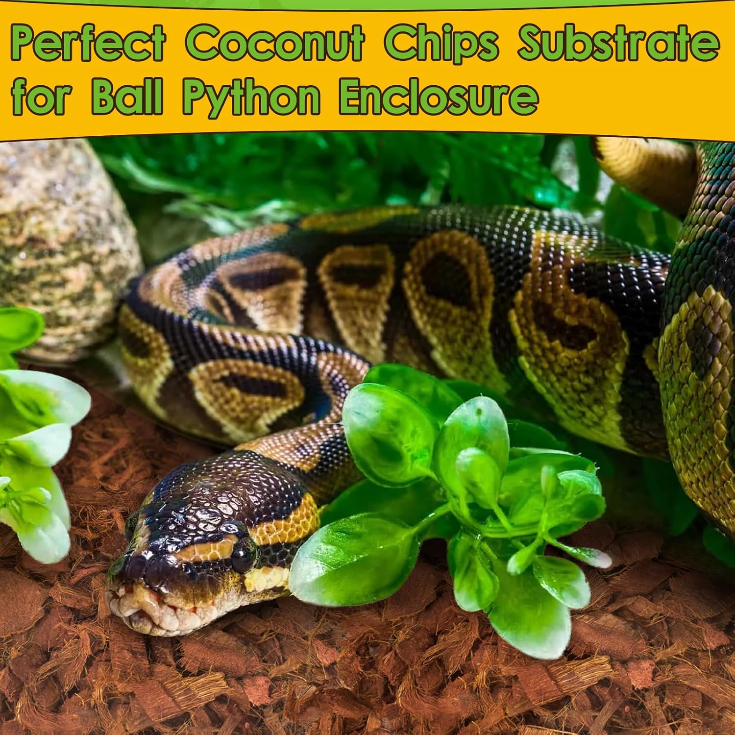 Halatool Organic 10LB Coconut Husk for Reptiles | Expands to 72 Quarts, Natural Coconut Bedding for Snakes, Tortoises, Ball Pythons, Geckos, Lizards - Image 7