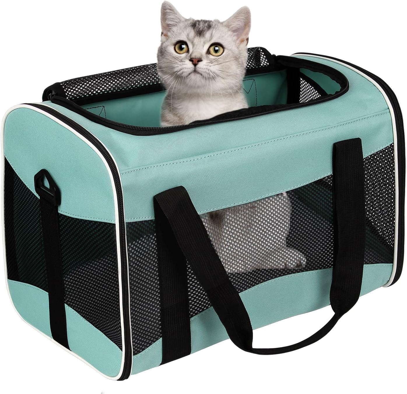 Cat Dog Carriers Soft-Sided Pet Carrier Large Cats for Medium Big Cat Small Dog Puppy up to 16lbs TSA Airline Approved Animal Collapsible Cat Carrier Carriers Travel Carrier Cat Bag (17x11x11) - Image 6