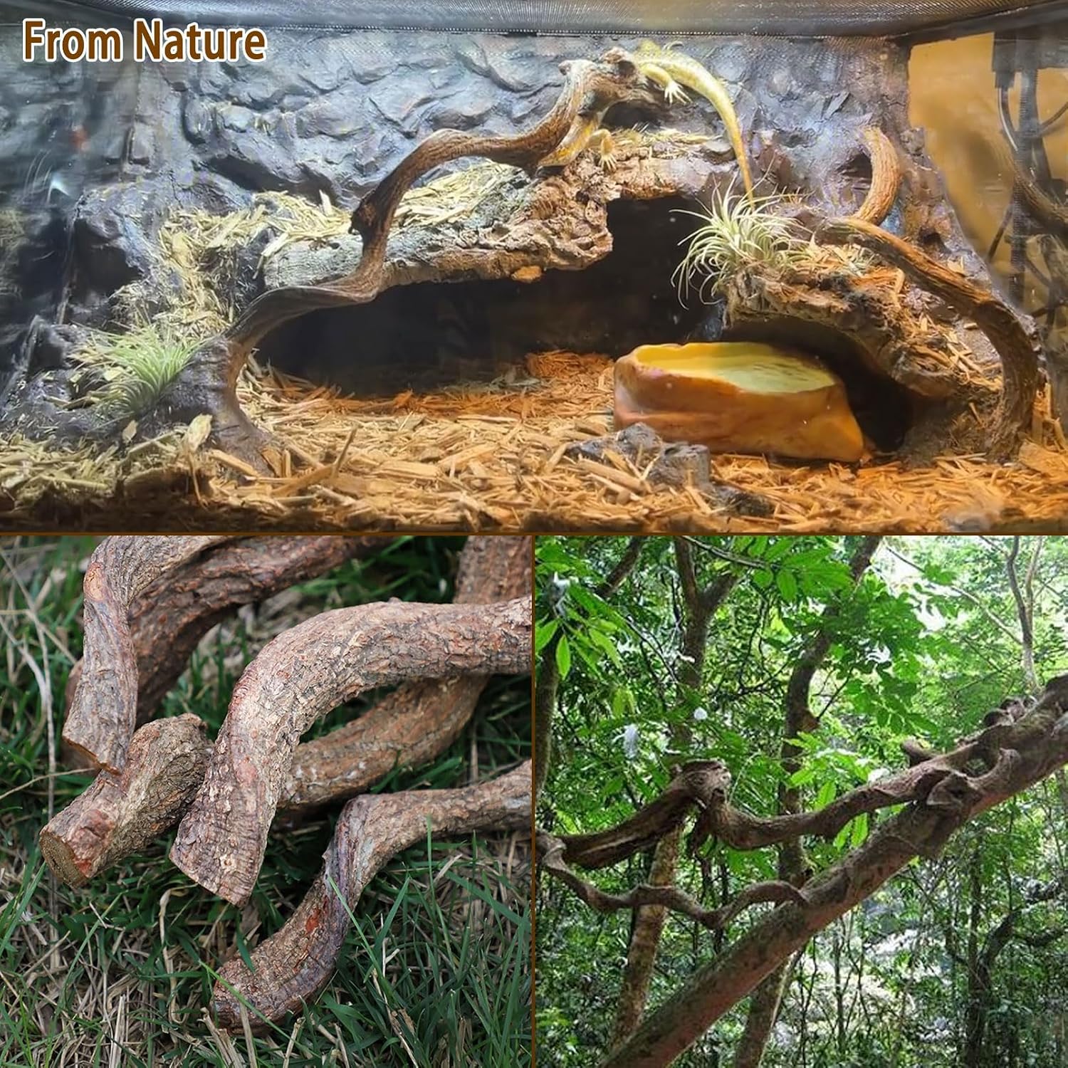 Reptile Decor 3PCS Natural Forest Branch Terrarium Habitat Decoration Lizard Climbing Tree Branch for Bearded Dragon Gecko Snake Frog Chameleon Spider - Image 6