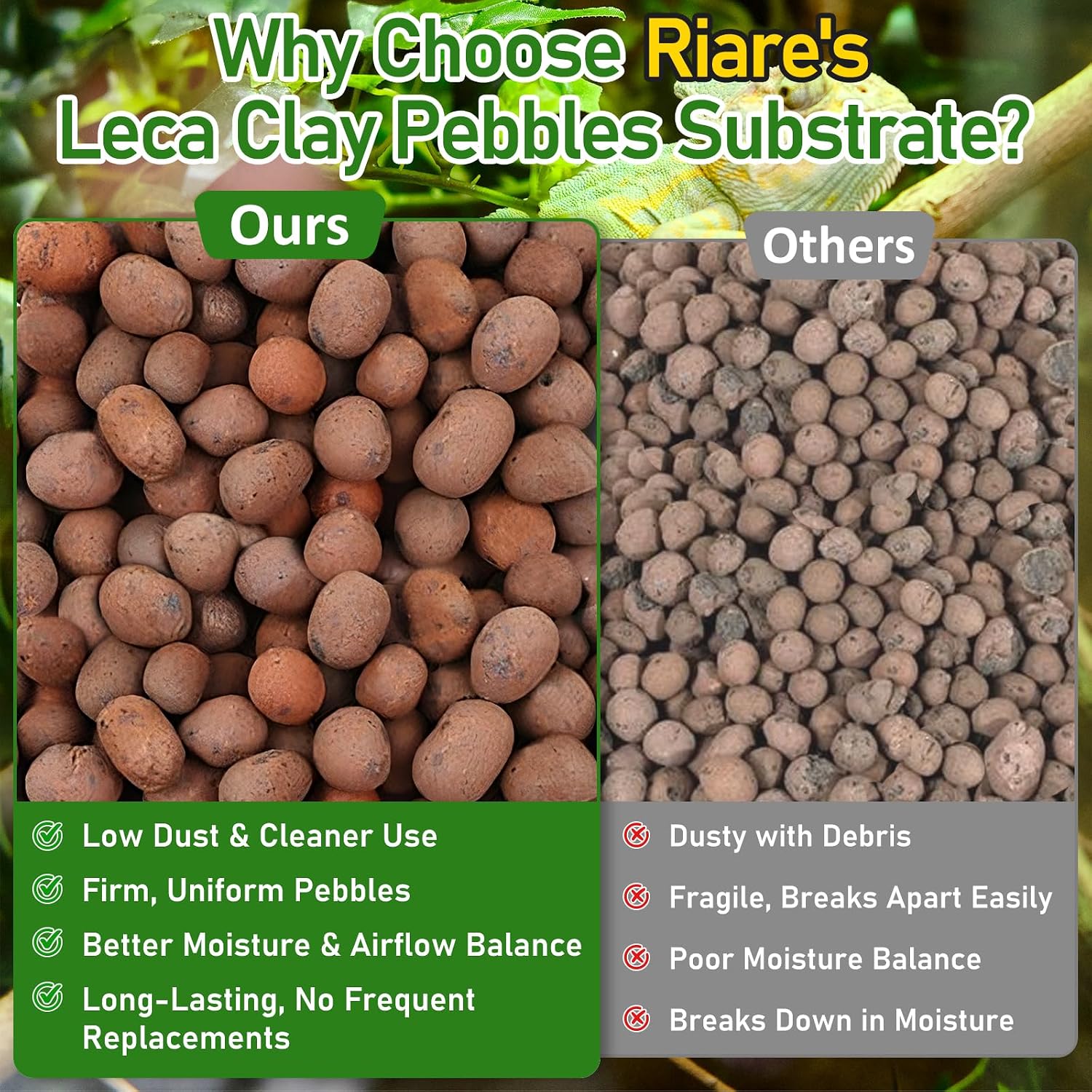 Riare 10LBS Expanded Clay Balls Terrarium Substrate for Reptiles - 100% Organic Lightweight Clay Pebbles Substrate Frogs False Bottom Substrate, Bioactive Terrarium Substrate for Drainage and Moisture - Image 5