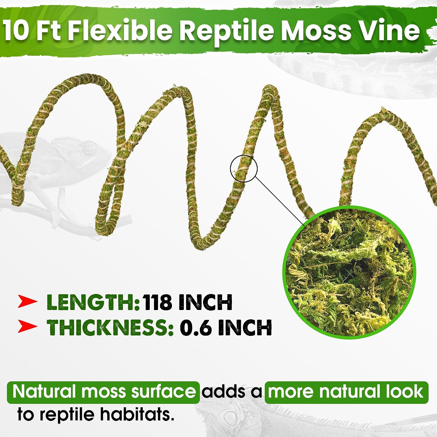 Duspro 10FT Reptile Vines for Climbing Bendable Branch for Reptile Natural Moss Rope Jungle Decor for Bearded Dragon, Chameleon Tank Accessories, Snake Gecko Lizard Terrarium - Image 3