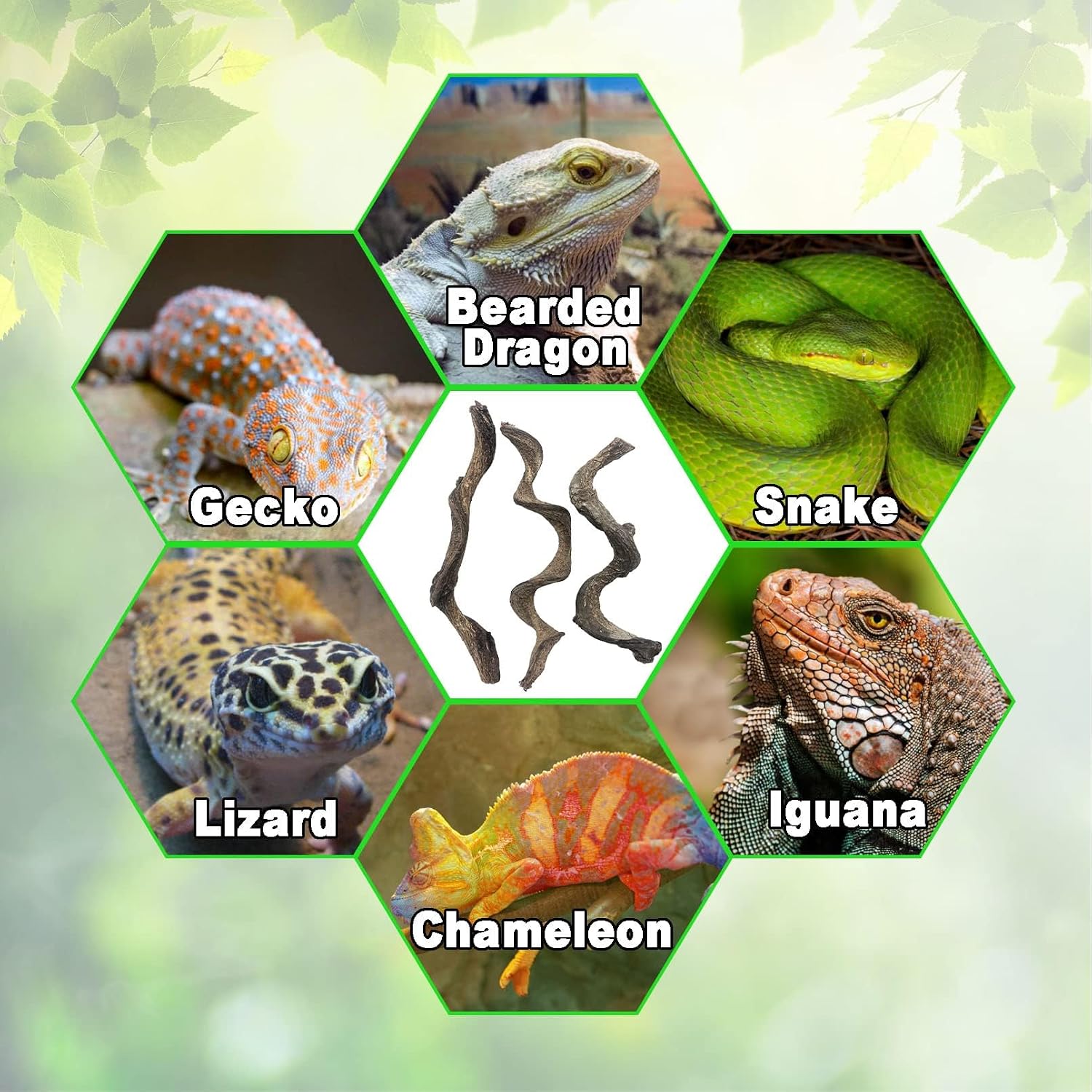 Reptile Decor 3PCS Natural Forest Branch Terrarium Habitat Decoration Lizard Climbing Tree Branch for Bearded Dragon Gecko Snake Frog Chameleon Spider - Image 9