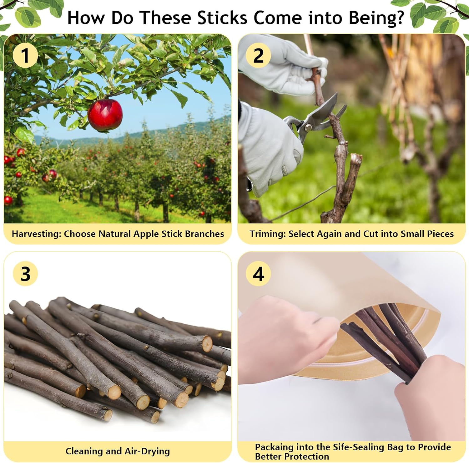 600g Organic Apple Sticks Small Animals Molar Wood Treats Toys for Chinchillas Guinea Pig Rabbits Hamster Gerbil Parrot Bunny Chew Stick Toys, 21.2 OZ - Image 3