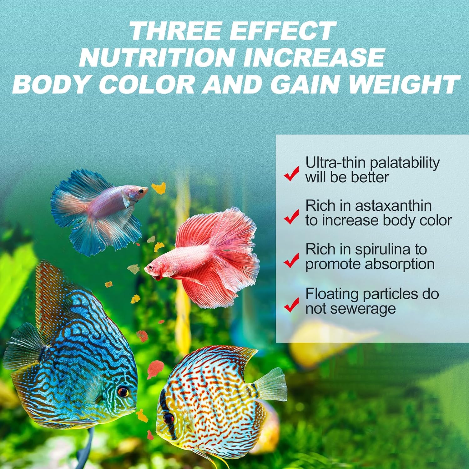 8 OZ Ultrathin Tropical Fish Flakes - High Protein with Krill & Spirulina for Betta, Guppies, Tetra, Angelfish, Color Enhancing Fast Growth Formula - Image 5