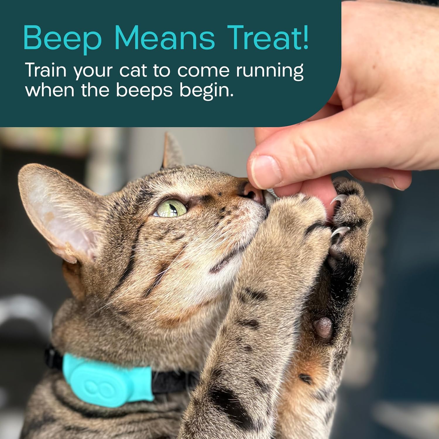 Tabcat V2 Cat & Kitten Tracker - No Subscription | 2 Lightweight Homing Tags, Cases & Tracking Handset | RF Technology, More Accurate than GPS | Track 2 Cats Indoors & Outdoors to 2.5 cm & 150 m Range - Image 8