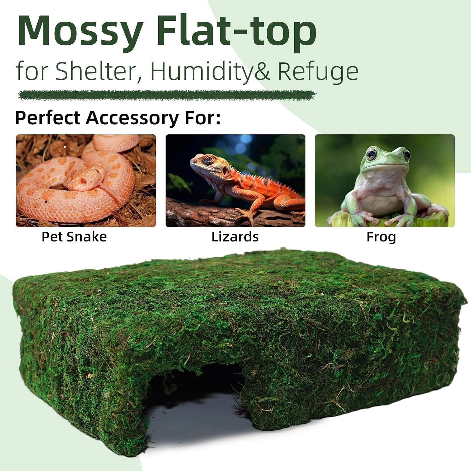 Mossy Cave Hide for Reptiles, Lizard Moss Hideout with Safe Shelter, Snake Cave Hut for Themed Terrarium Ideal for Gecko Hamster Snake to Rest & Hide - Image 5