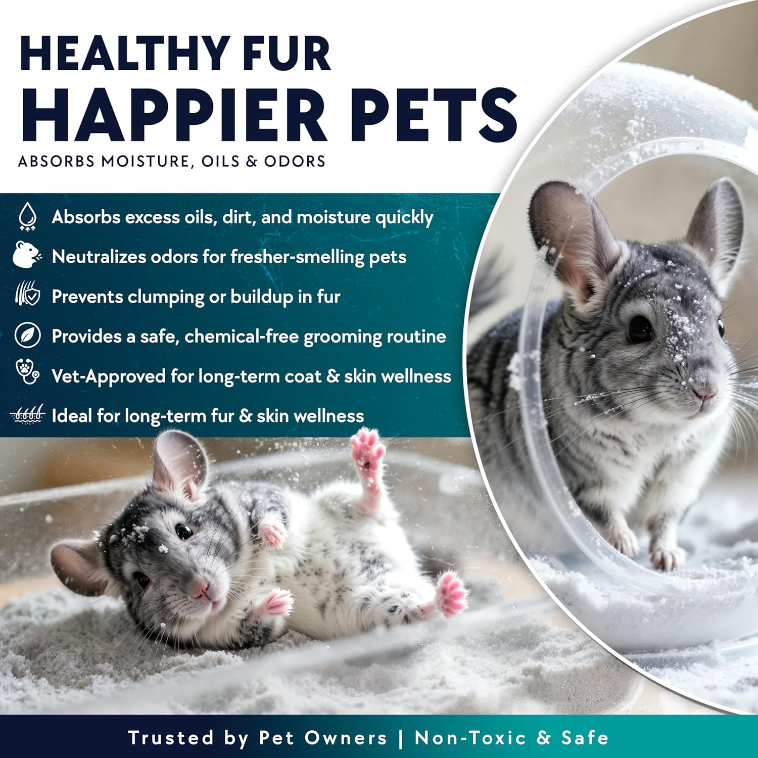 6 LB. Chinchilla Dust Bath Jar - Pure Cleansing Pumice Sand Dust for Cleaning Small Pets Like Gerbils, Mice, Degu - Premium, All Natural Dusting Powder - Chinchilla Accessories by Billy Buckskin - Image 3