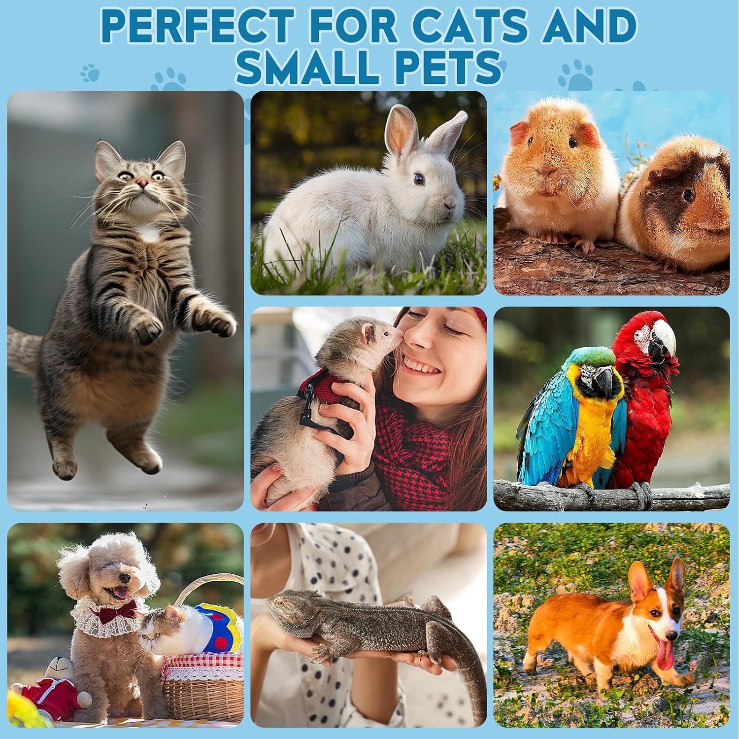 Cat Nail Clippers, Professional Pet Claw Clippers for Indoor Cats, Kittens, Small Dogs, Puppys, Birds, Rabbits, Safe Nail Trimmer and Grooming Tools for Small Animals Home Pets - Image 5