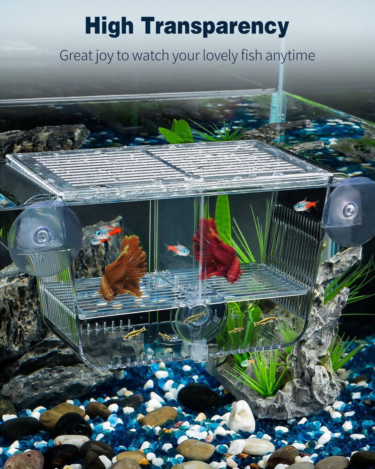 Pawfly Aquarium Fish Breeding Box, Fish Tank Hatchery Incubator with 6 Suction Cups Acrylic Hatching Box for Baby Fish Shrimp Betta Medium Acclimation Isolation Box - Image 6