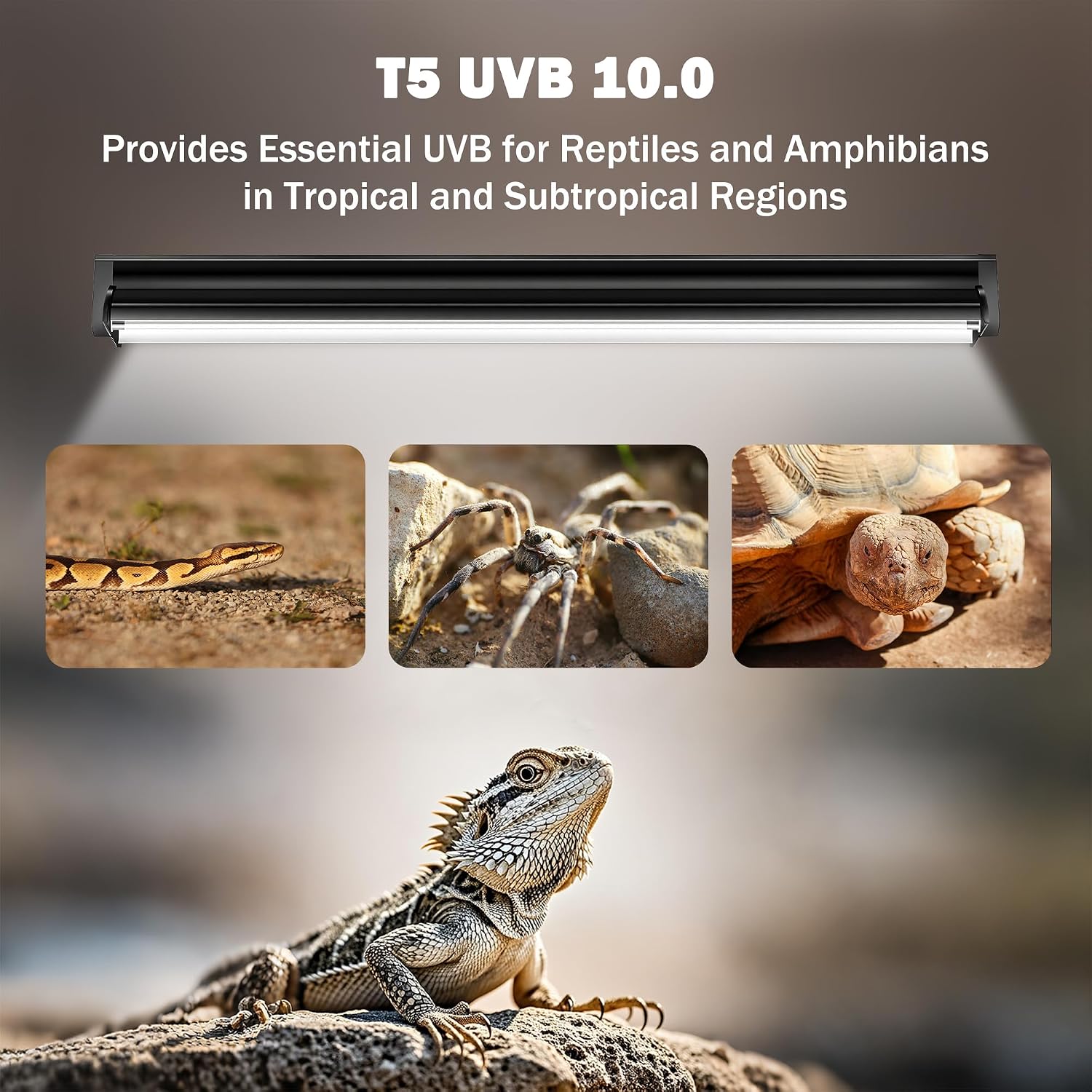 T5 10.0 UVB Reptile Light Fixture, 24W 22" for Bearded Dragon | Combo kit with stand & hood. 24W 22" T5 10.0 UVB/UVA. For bearded dragons, tortoises, lizards & amphibians. - Image 5