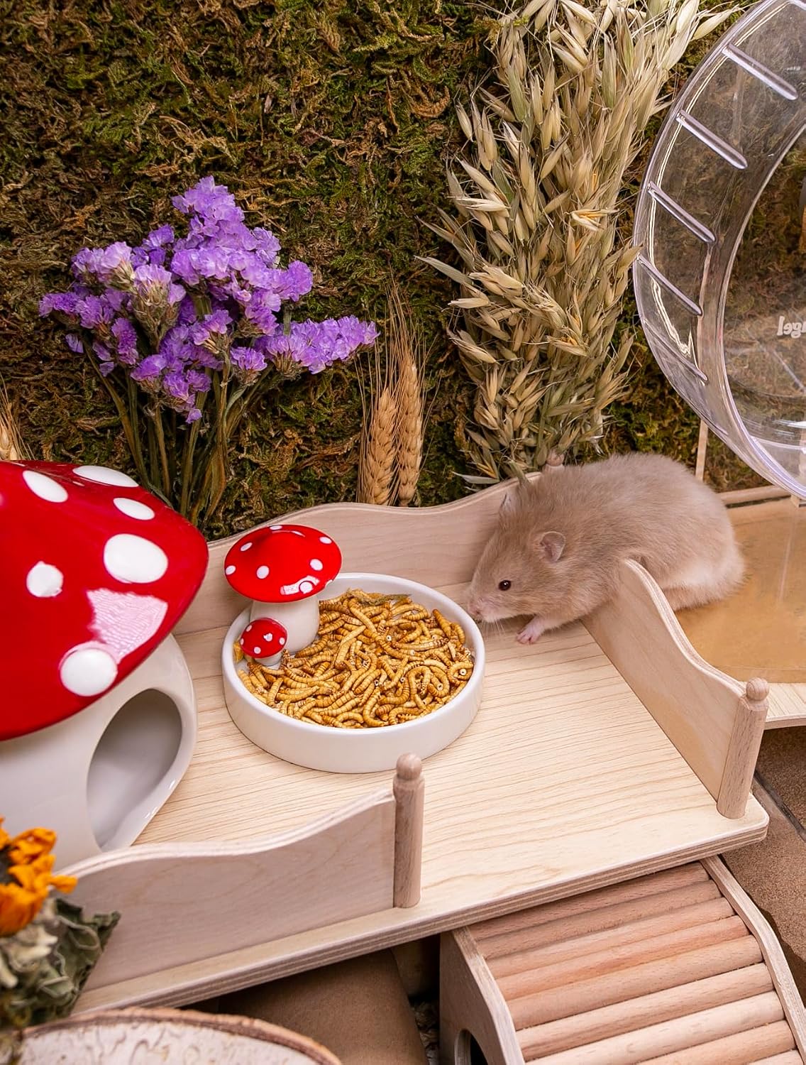 Niteangel Small Animal Snack & Treats Toy - Small Critter Natural Treat for Dwarf Syrian Robo Hamsters Gerbils Mice Lemmings Sugar Glider Hedgehogs Chickens Birds or Other Small-Sized Pets - Image 4