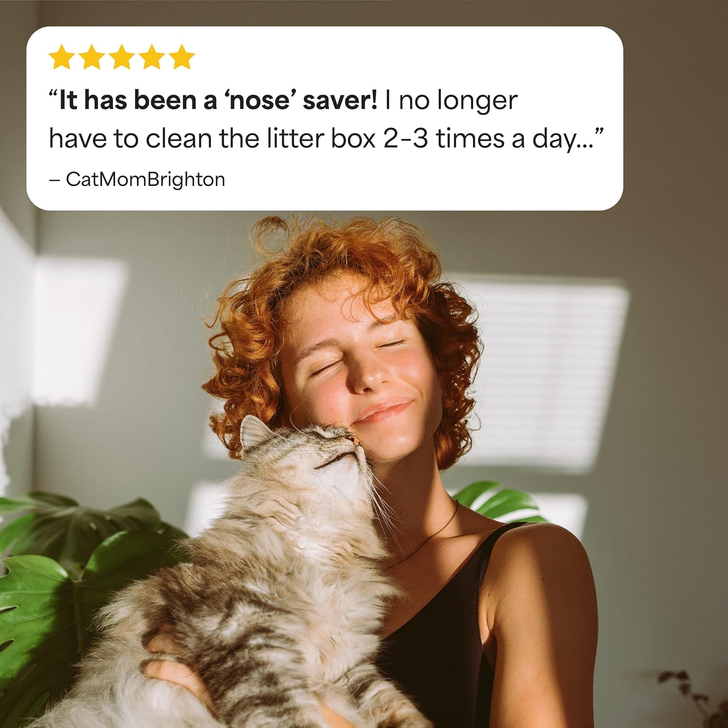 Fresh Step Heavy Duty Odor Block Advanced Multi Cat Clumping Litter with Febreze, 17.5 lb (Package May Vary) - Image 11