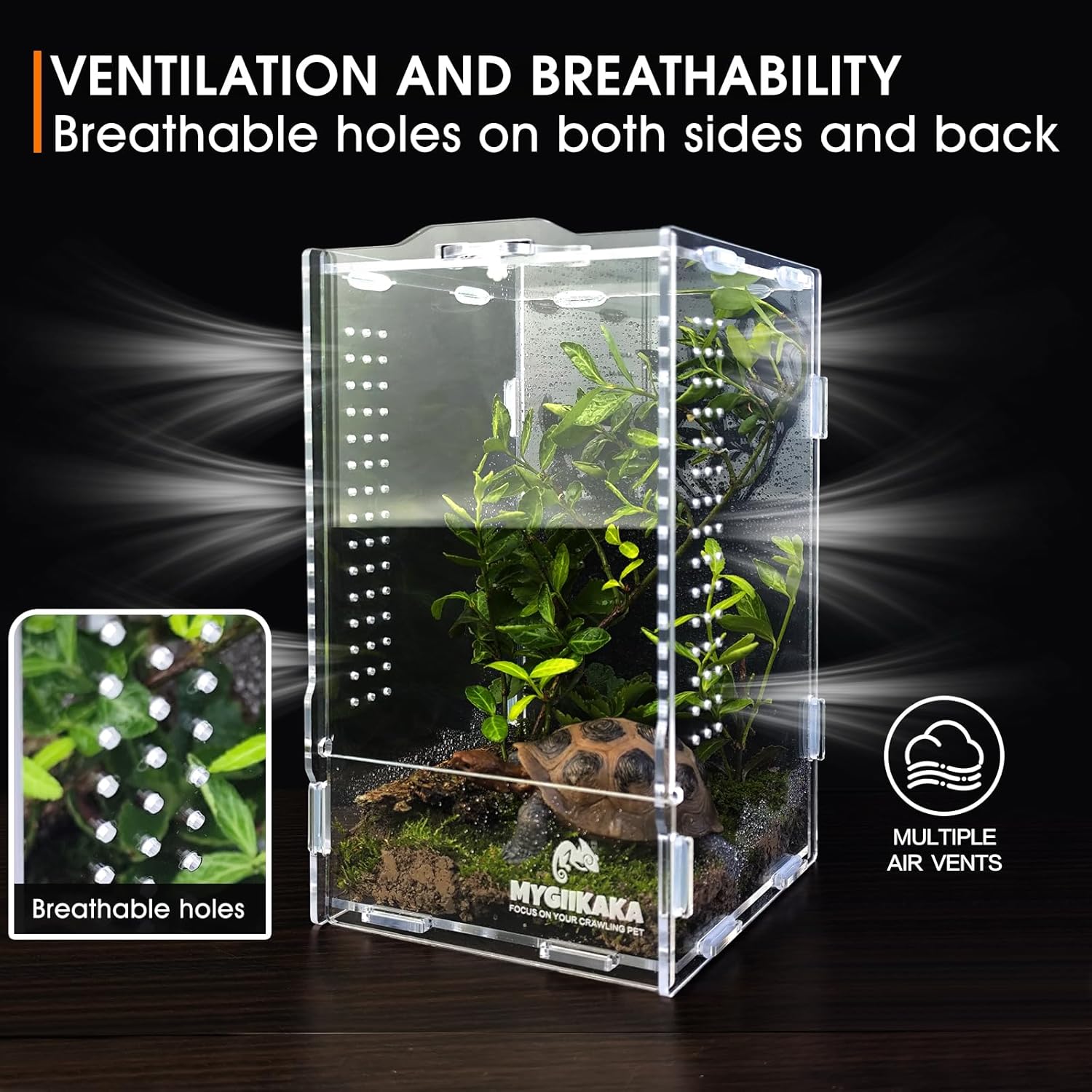Acrylic Jumping Spider Habitat, Insect Terrarium, Bug Enclosure, Praying Mantis Habitat, Frog Enclosure - Image 6
