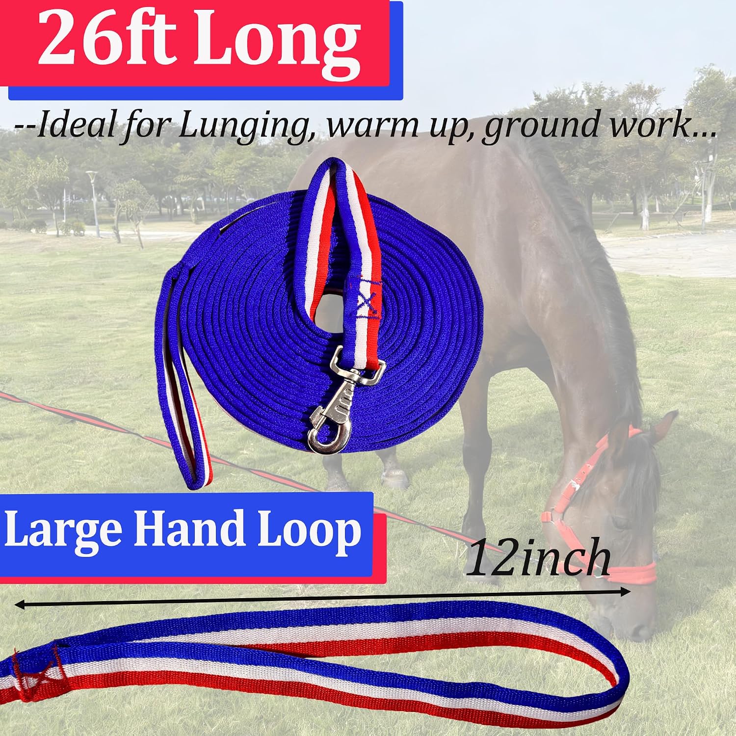 Horse Lunge Line, 26 ft / 8m, Flat Lunge Line with Heavy Duty Swivel Snap for Horses Daily Training | Durable Equestrian Lunge Rope for Lunging, Ground Work - Image 2