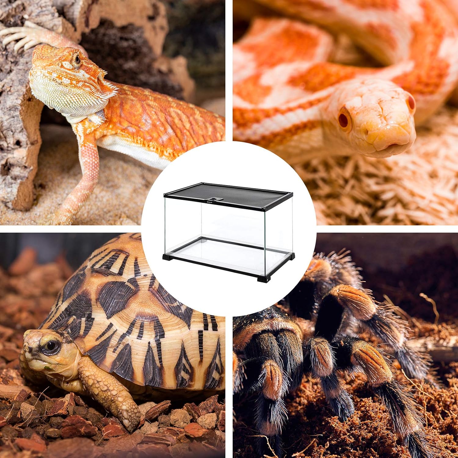 REPTI ZOO Full Glass 15 Gallon Reptile Tank, Medium Reptile Terrarium for Gecko Hermit Crab Hognose Snake etc, Top Screen Ventilation & Feeding - Image 7