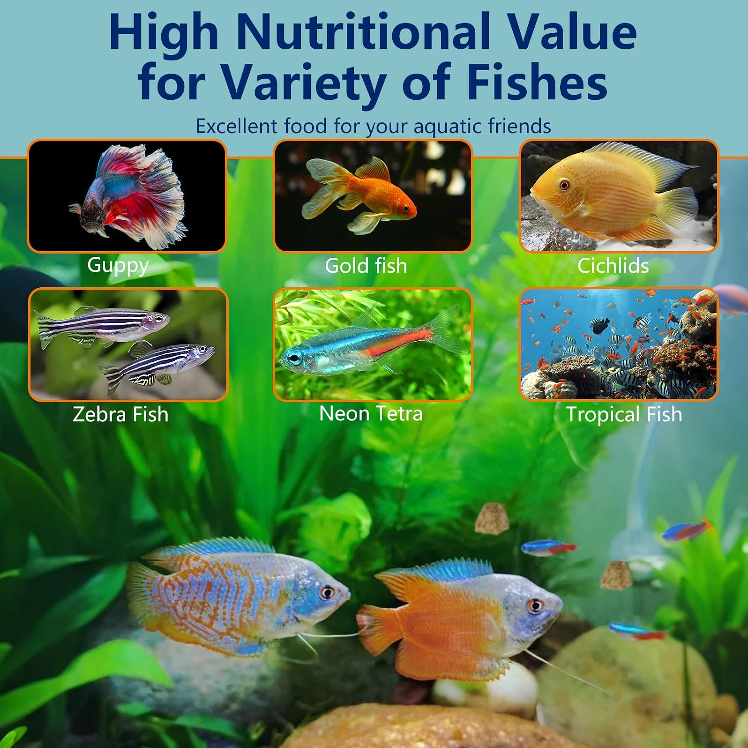 Freeze Dried Brine Shrimp Cubes 4.5 OZ, Brine Shrimp Freeze Dried Aquatic Foods for Tropical Fish Marine Fish and Aquatic Turtles. - Image 7