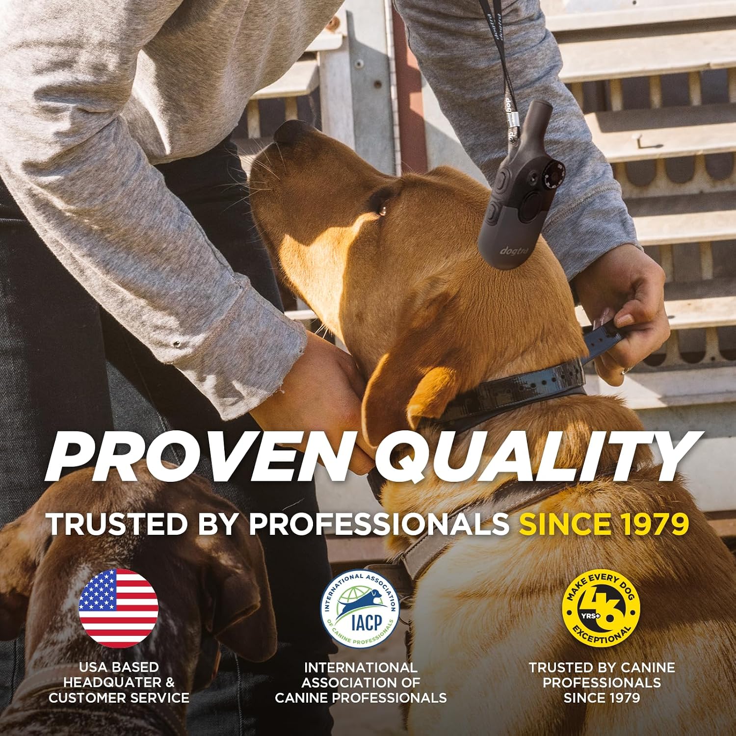 Dogtra 200iQ Professional Remote Training E Collar - 1/2 Mile, 100 Precision Levels, IPX9K Waterproof, Tone & Vibration – Seamless No-Look Control Off-Leash Confidence for Dogs 10lb+ - Image 4