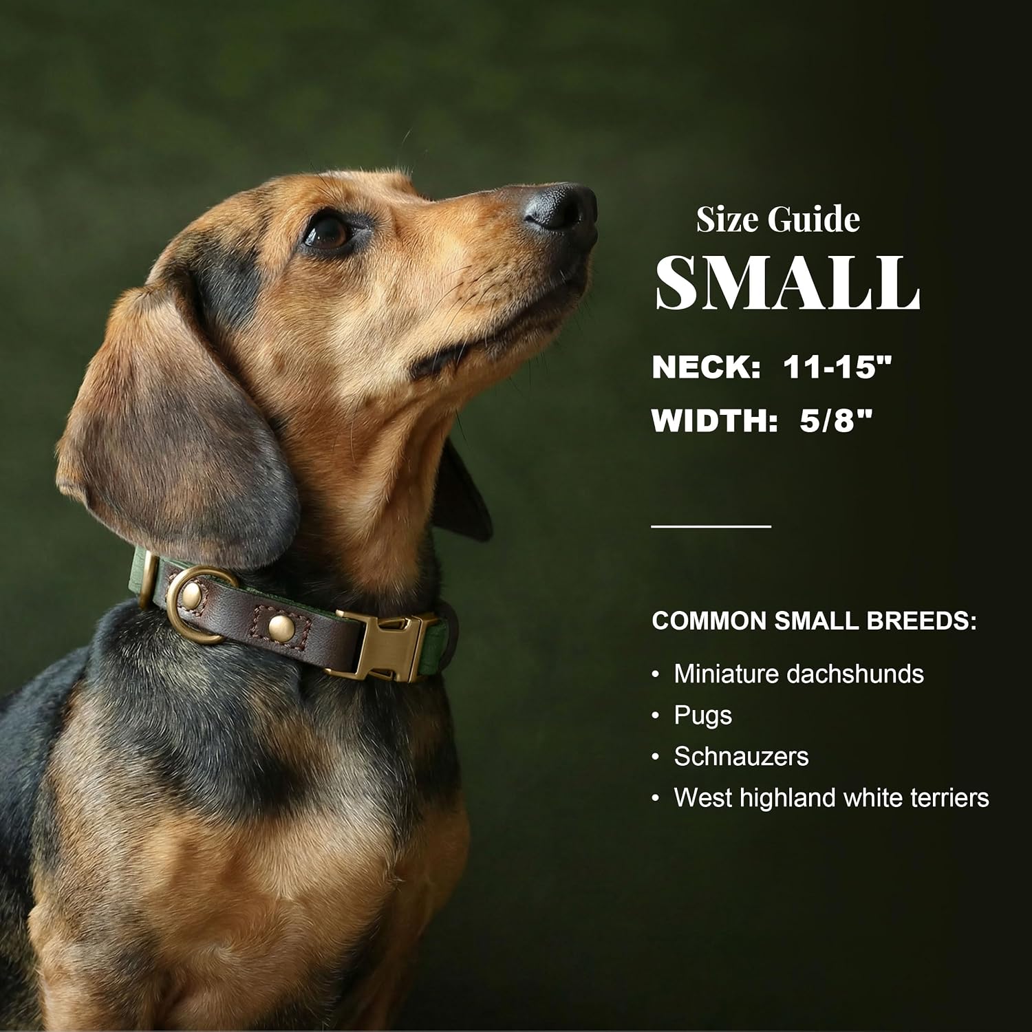 Didog Soft PU Leather Dog Collars for Small Dogs,Classic Adjustable Dog Collars with Quick Release Metal Buckle,Easy Clean and Comfortable with Nylon Lining,Green,S Neck 11-15" - Image 3