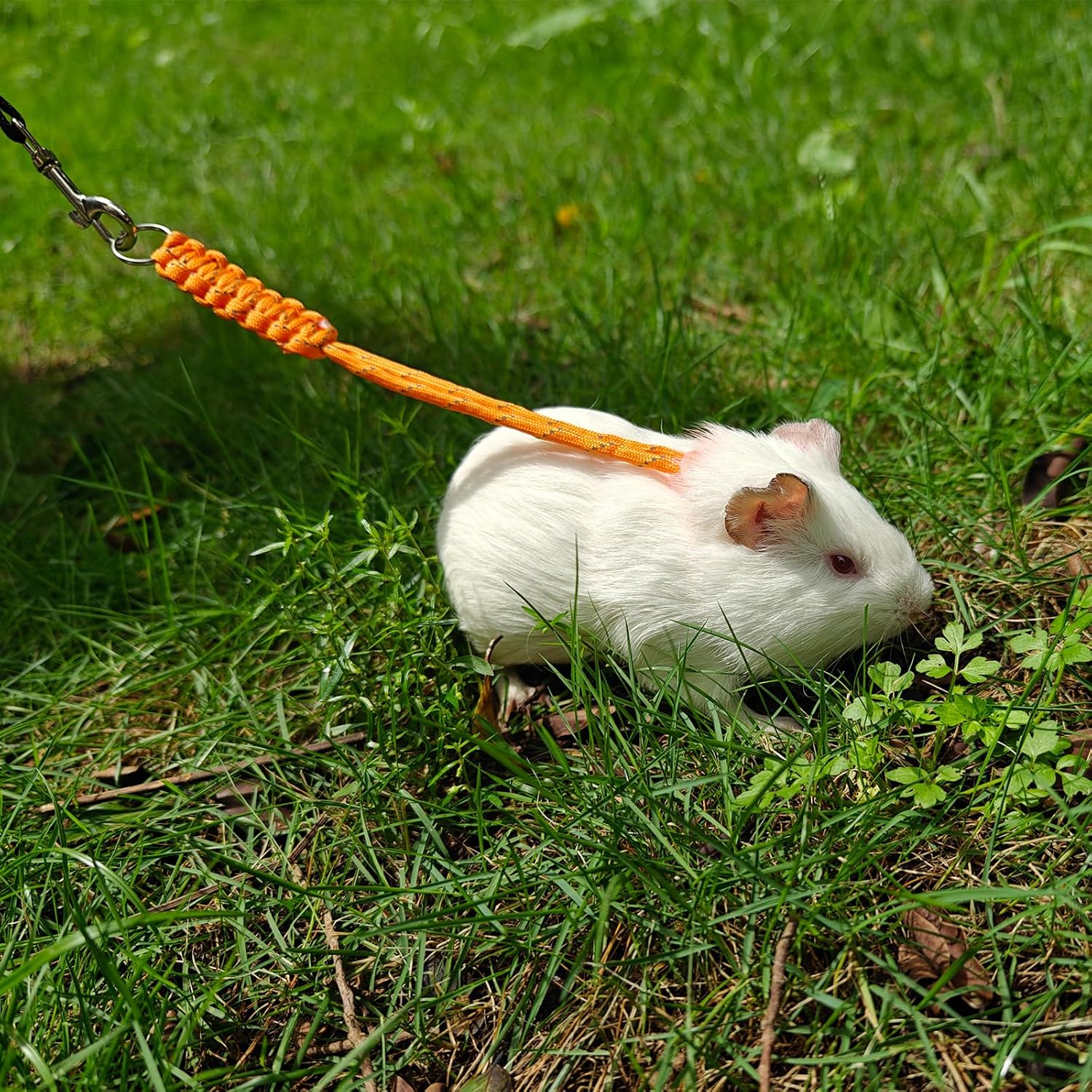 Handmade Figure 8 Harness and Leash for Ferrets/Guinea Pigs/Rats | Adjustable, Lightweight & Safe | Fits Small Animals: Bunnies/Bearded Dragons/Chinchillas/Reptiles/Birds/Squirrels/Rabbits - Image 5
