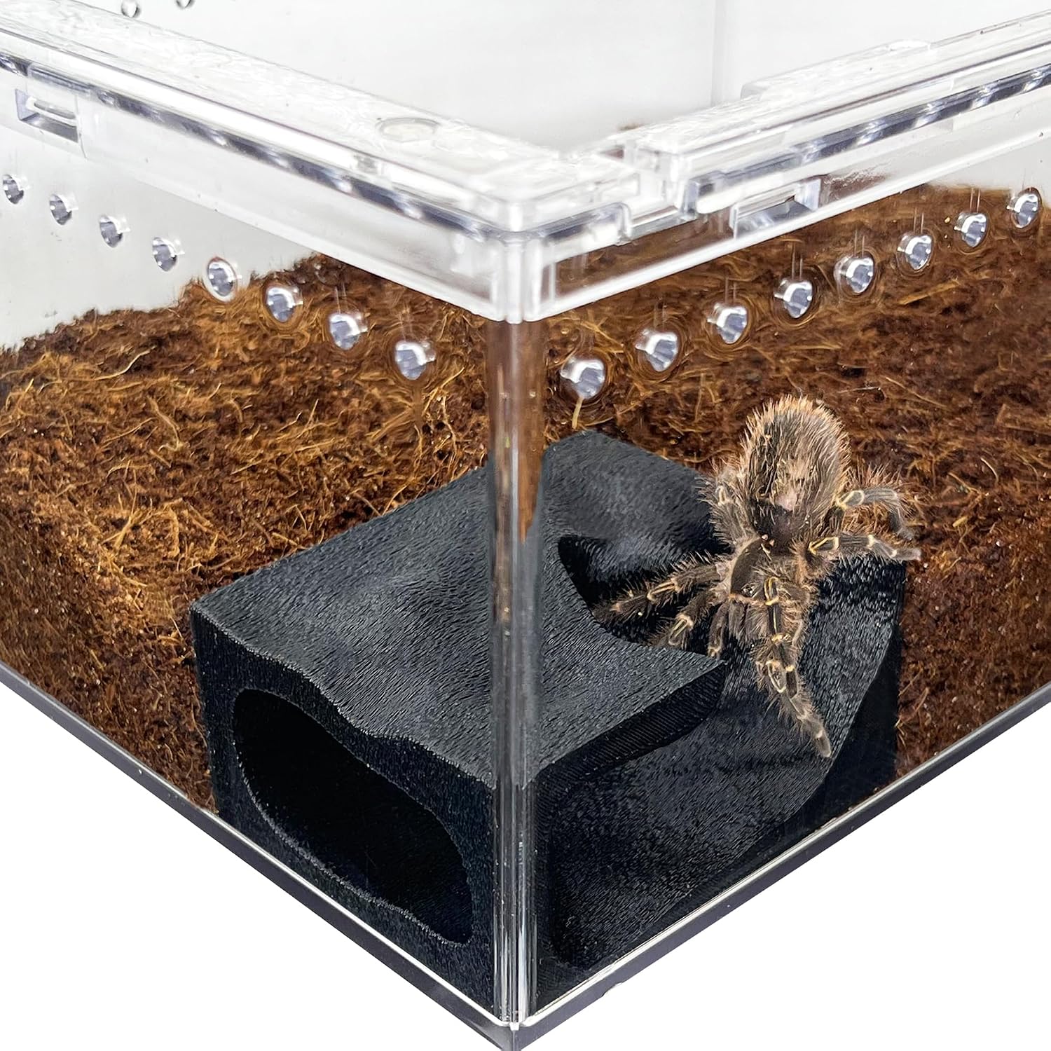 Jumping Spider & Tarantula Sling Hideout Corner Cave, Small Size 2.6" x 2.1" x 1.3", 3D Printed Textured Climbing Habitat with Viewing Window, Small Spider Terrarium Decor - Image 2