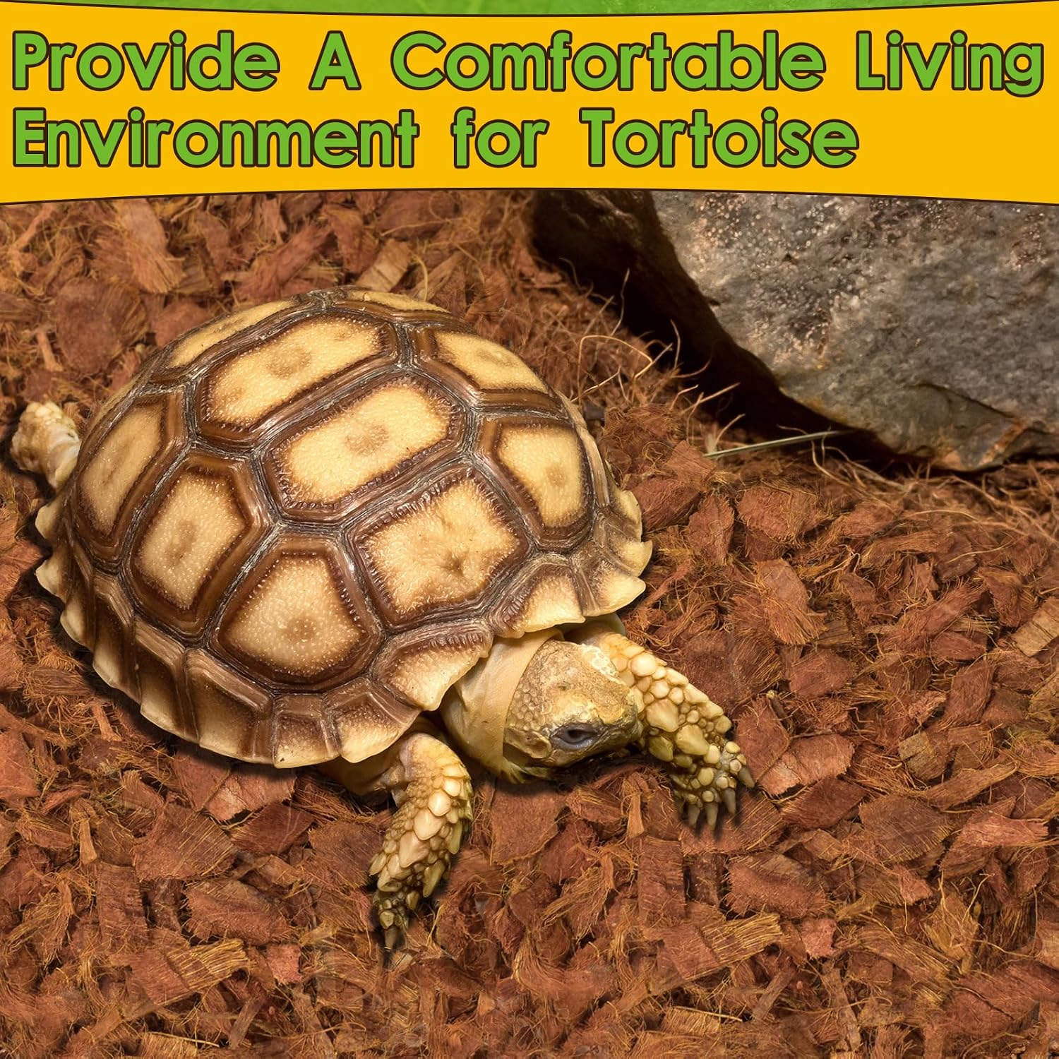 Halatool Organic 10LB Coconut Husk for Reptiles | Expands to 72 Quarts, Natural Coconut Bedding for Snakes, Tortoises, Ball Pythons, Geckos, Lizards - Image 4