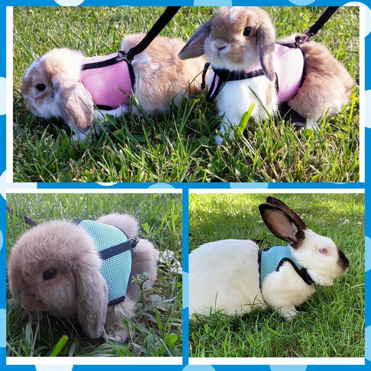 Black Bunny Harness and Leash, Escape Proof Rabbit Harness and Leash Set, Cute Bunnies Vest Clothes Stuff Accessories, Suit for 7+ Months Rabbit/Ferret, XL - Image 2