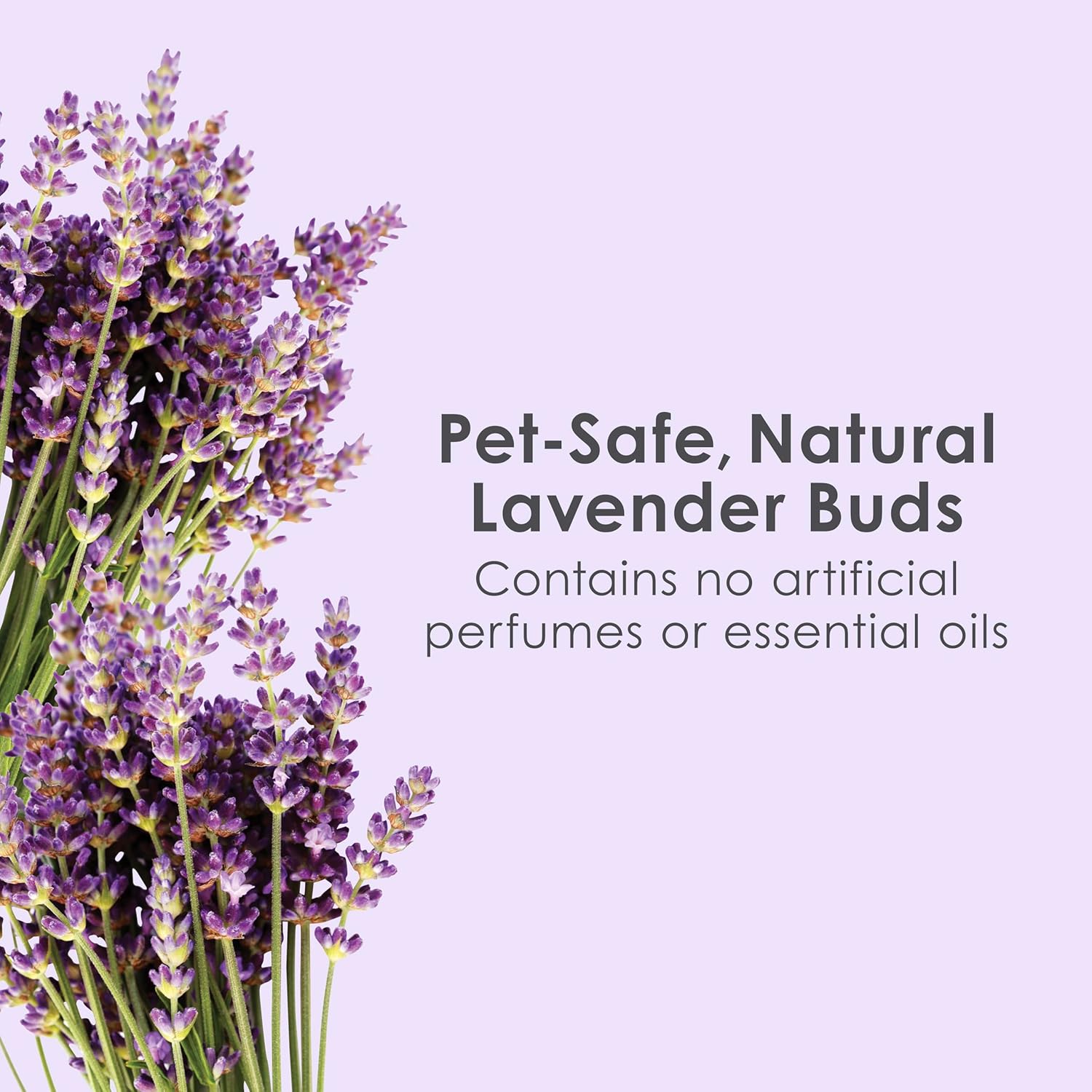 Kaytee Clean & Cozy Lavender Paper Bedding For Pet Guinea Pigs, Rabbits, Hamsters, Gerbils, and Chinchillas, 49.2 Liters - Image 5