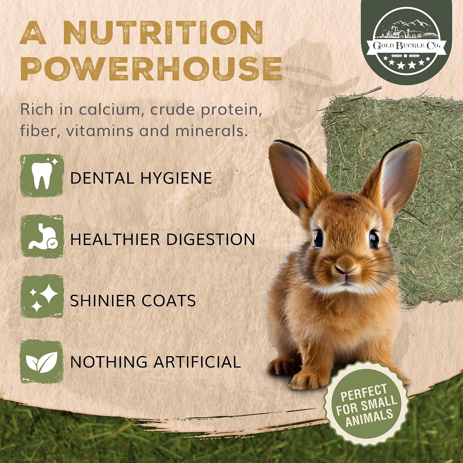 9lb Farm Fresh Alfalfa Hay for Rabbits, Guinea Pigs, Chinchillas, Goats, Hamsters & Ferrets - Organic Small Animal Food Rich in Protein & Fiber - Fresh Dried, Hand-Selected, USA Grown - Image 7