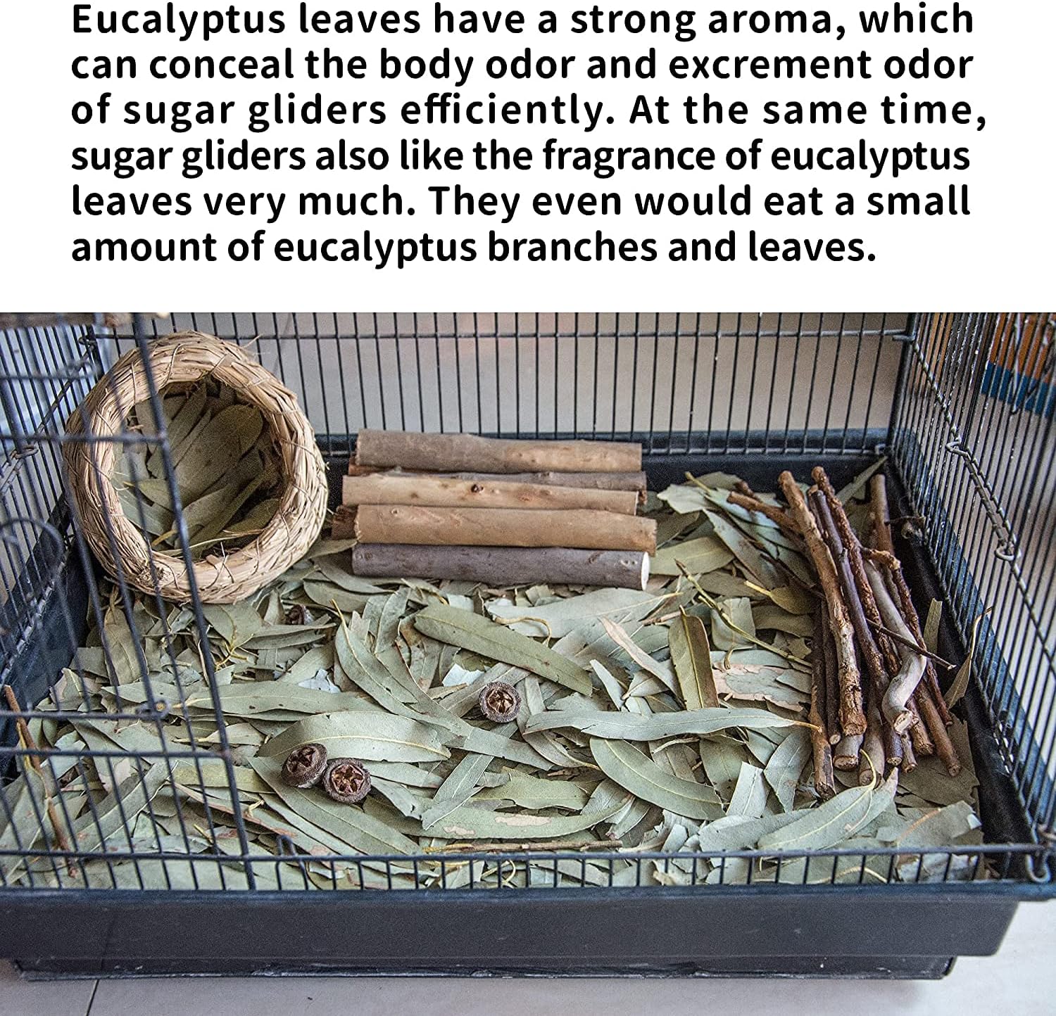 NEOUZA Sugar Glider Small Animal Bedding, Chew Treats, Molar Toys, 7oz/200g Natural Dried Eucalyptus Leaves and Twigs for Sugar Gliders, Aromatic & Decorative Use - Image 4